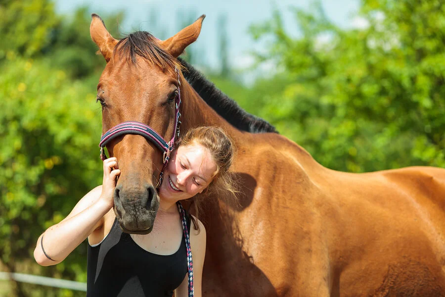 Alternative Therapies for Better Horse Care
