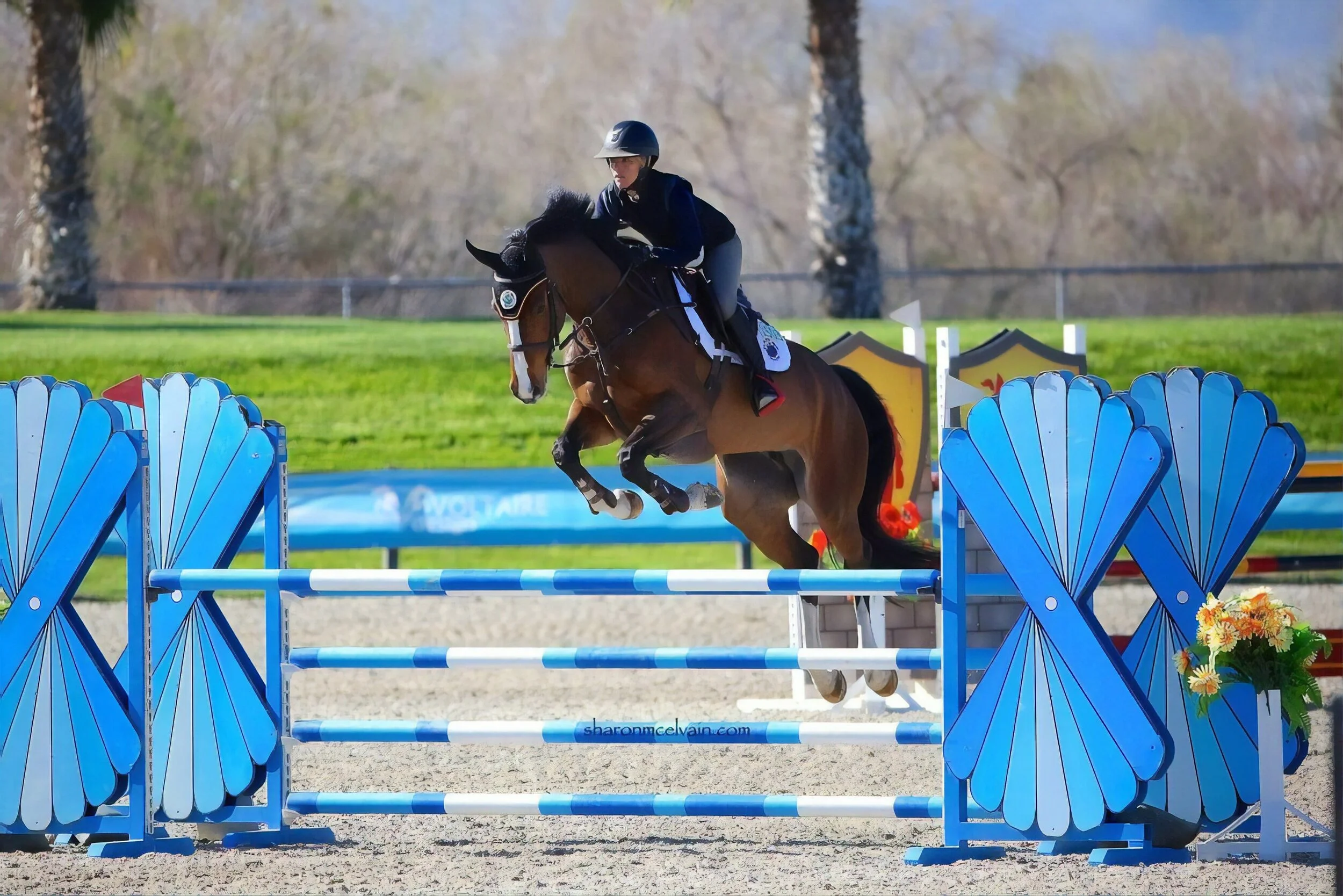 Premium Arena Footing For Show Jumping ReitenRight