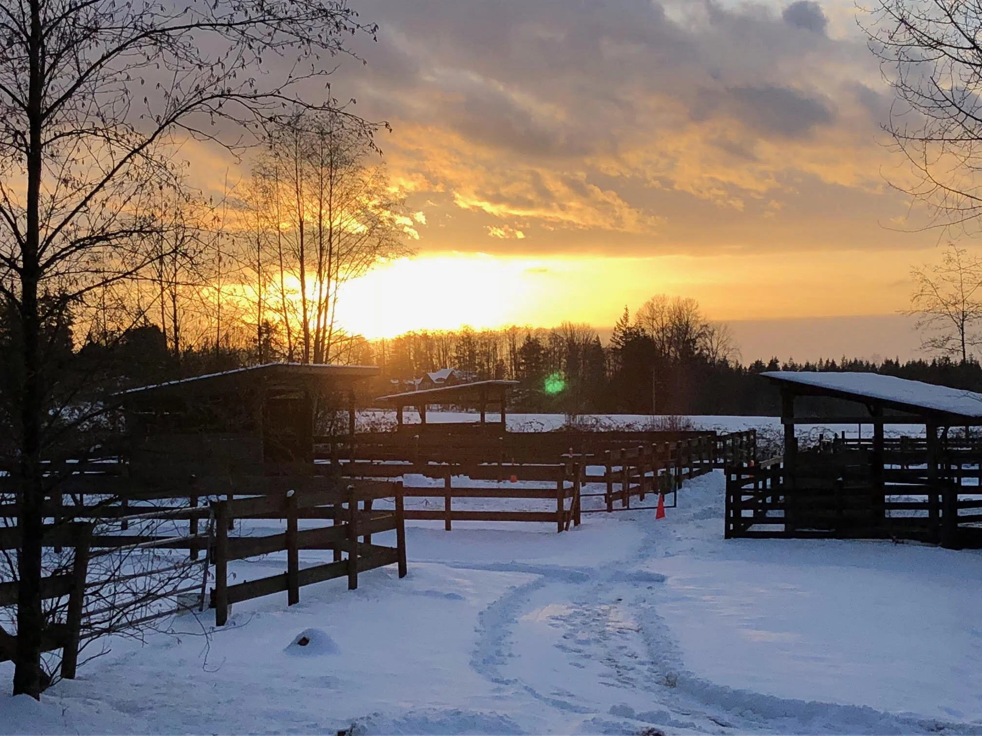 Surviving Winter with Horses
