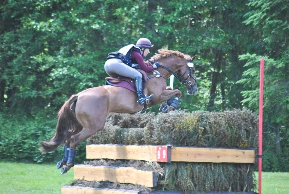 Sabrina+eventing+hedge.jpg