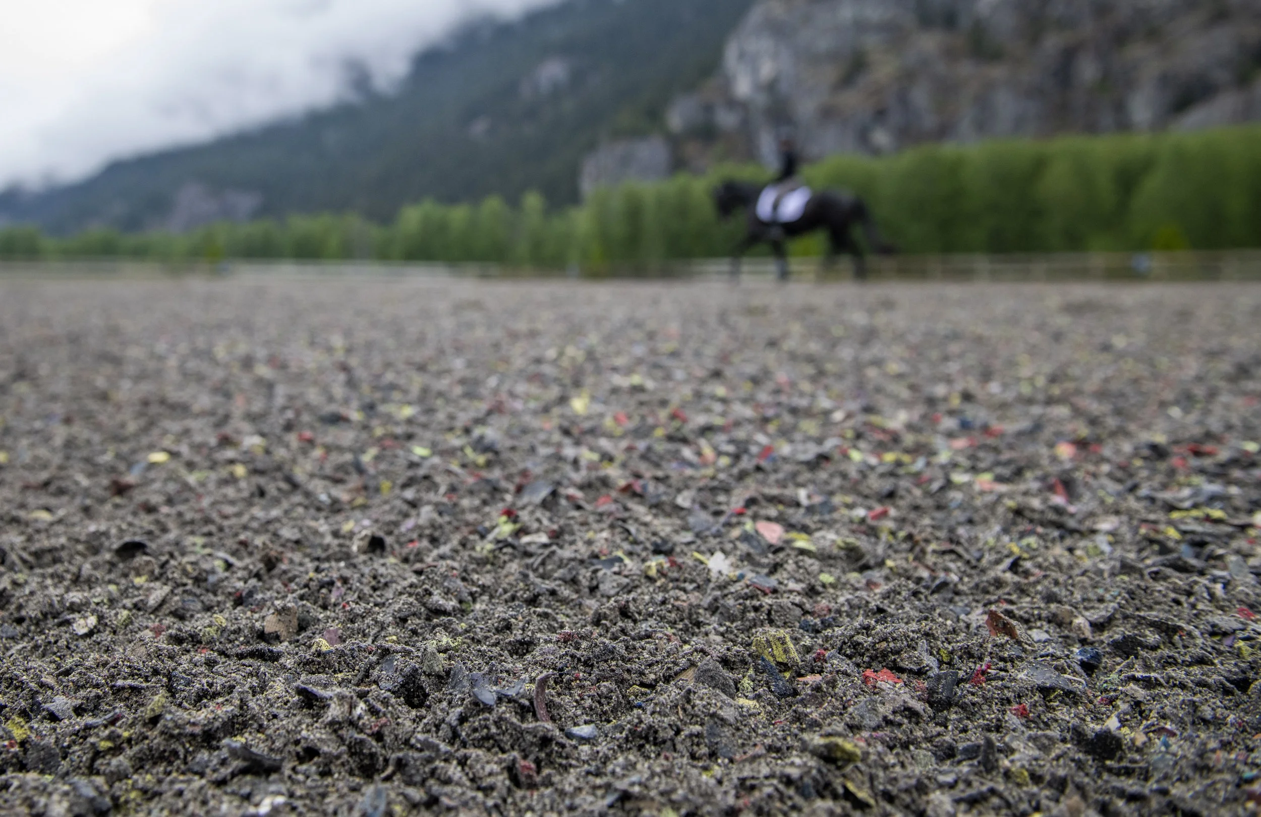 Outdoor Sand Arena with rubber additive for West Coast climate