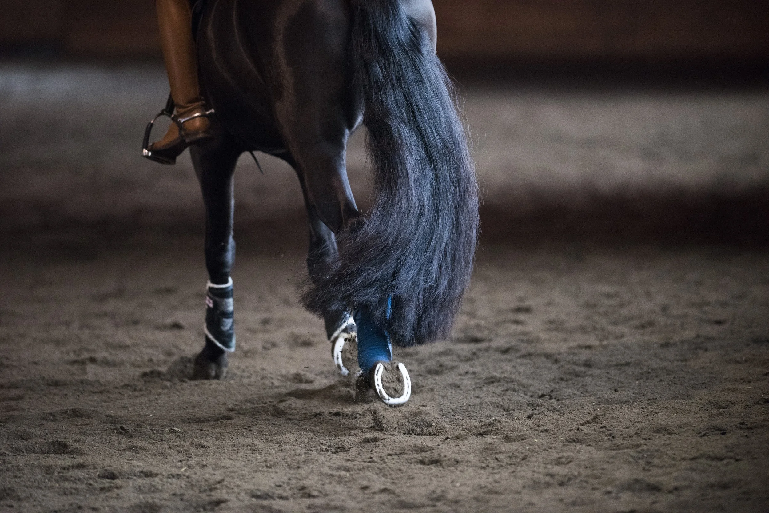 Common Types of Horse Arena Footing: A Complete Guide to Choosing the Right Surface