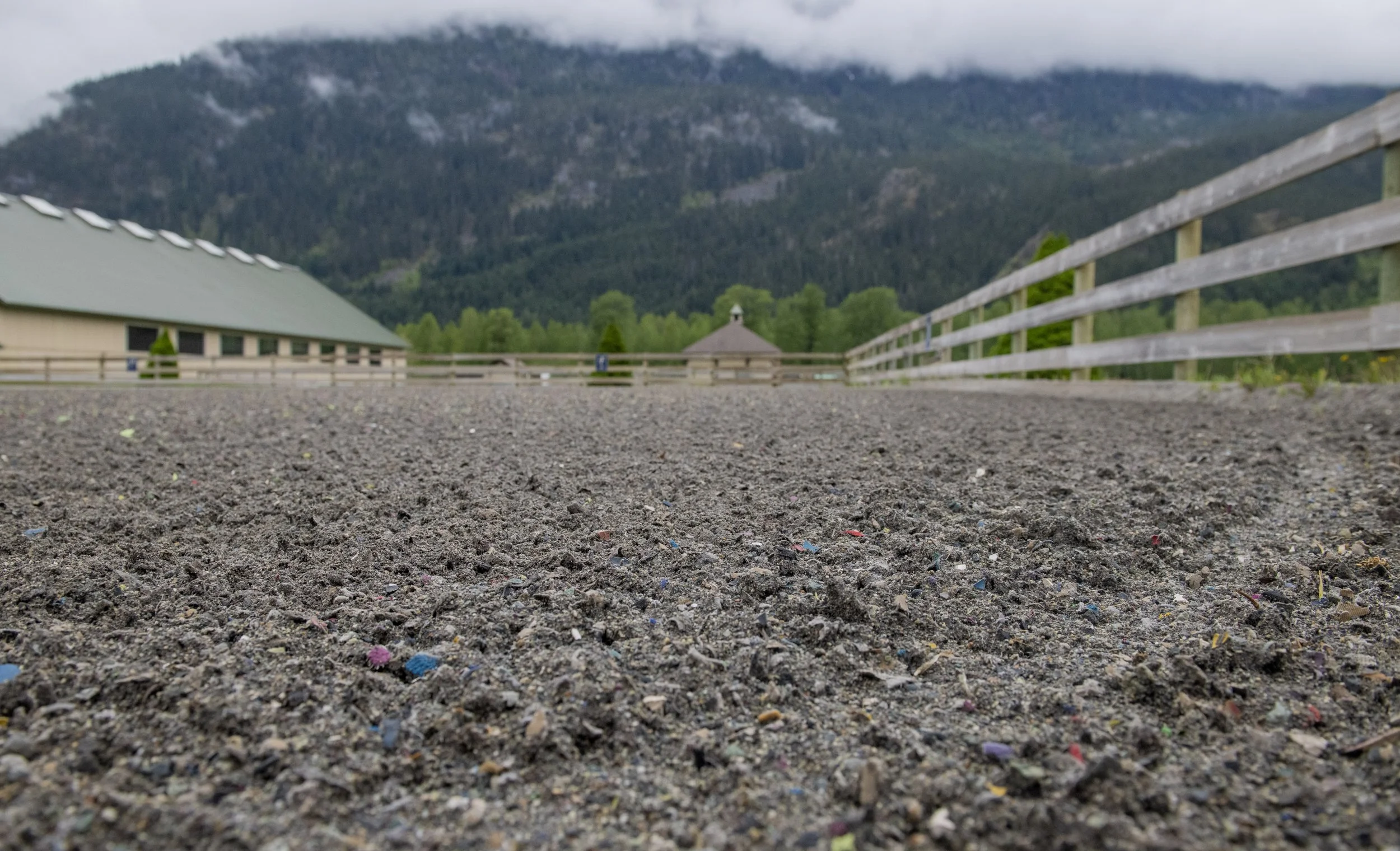Arena Sand 101: Washed vs. Unwashed Sand for Equestrian Footing