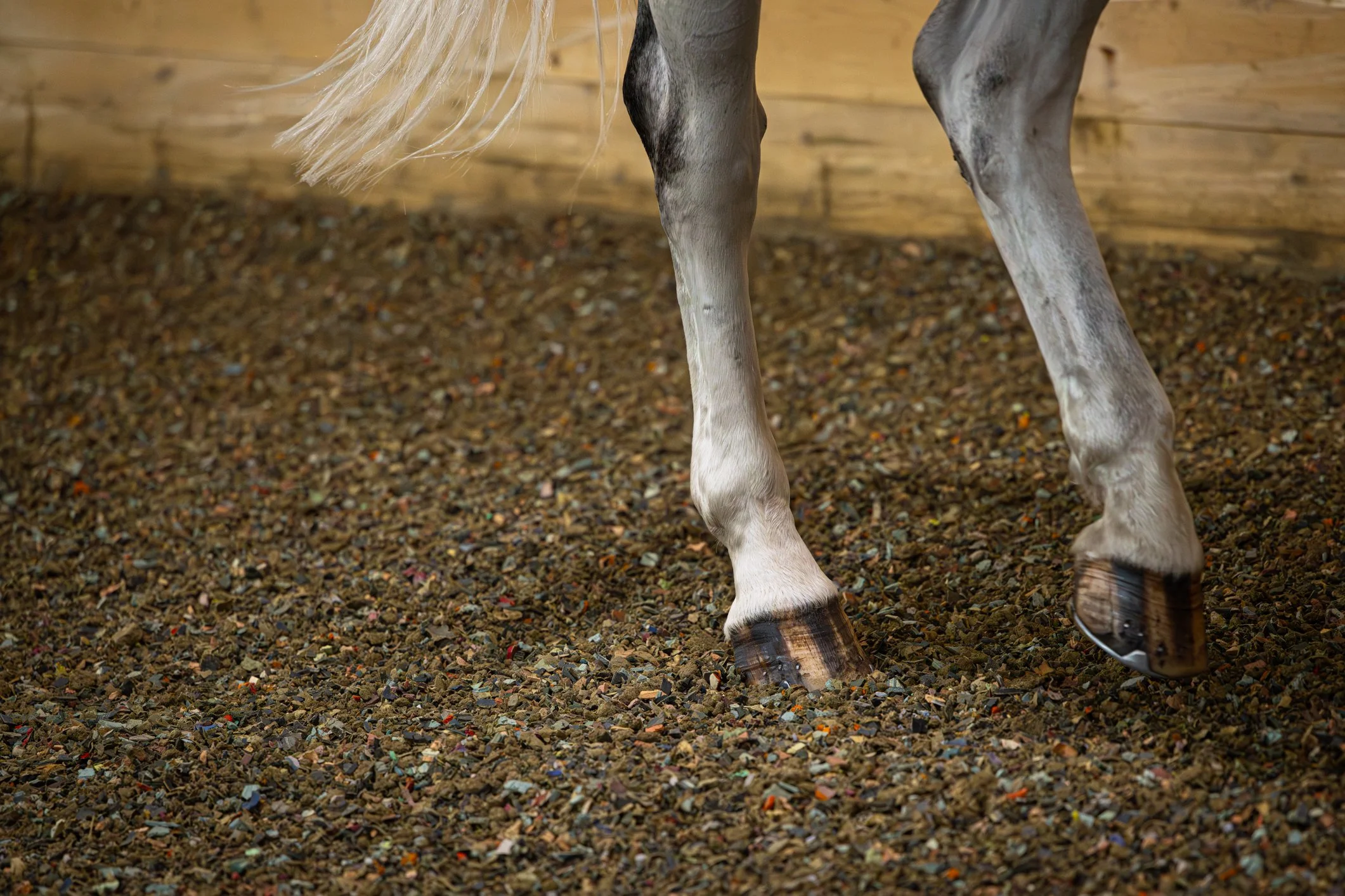 Why Particle Shape Matters in Arena Sand