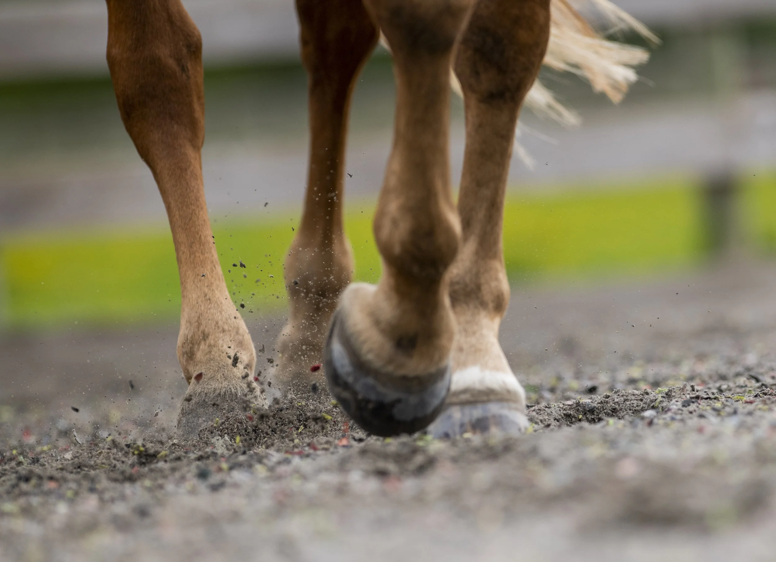 arena sand footing