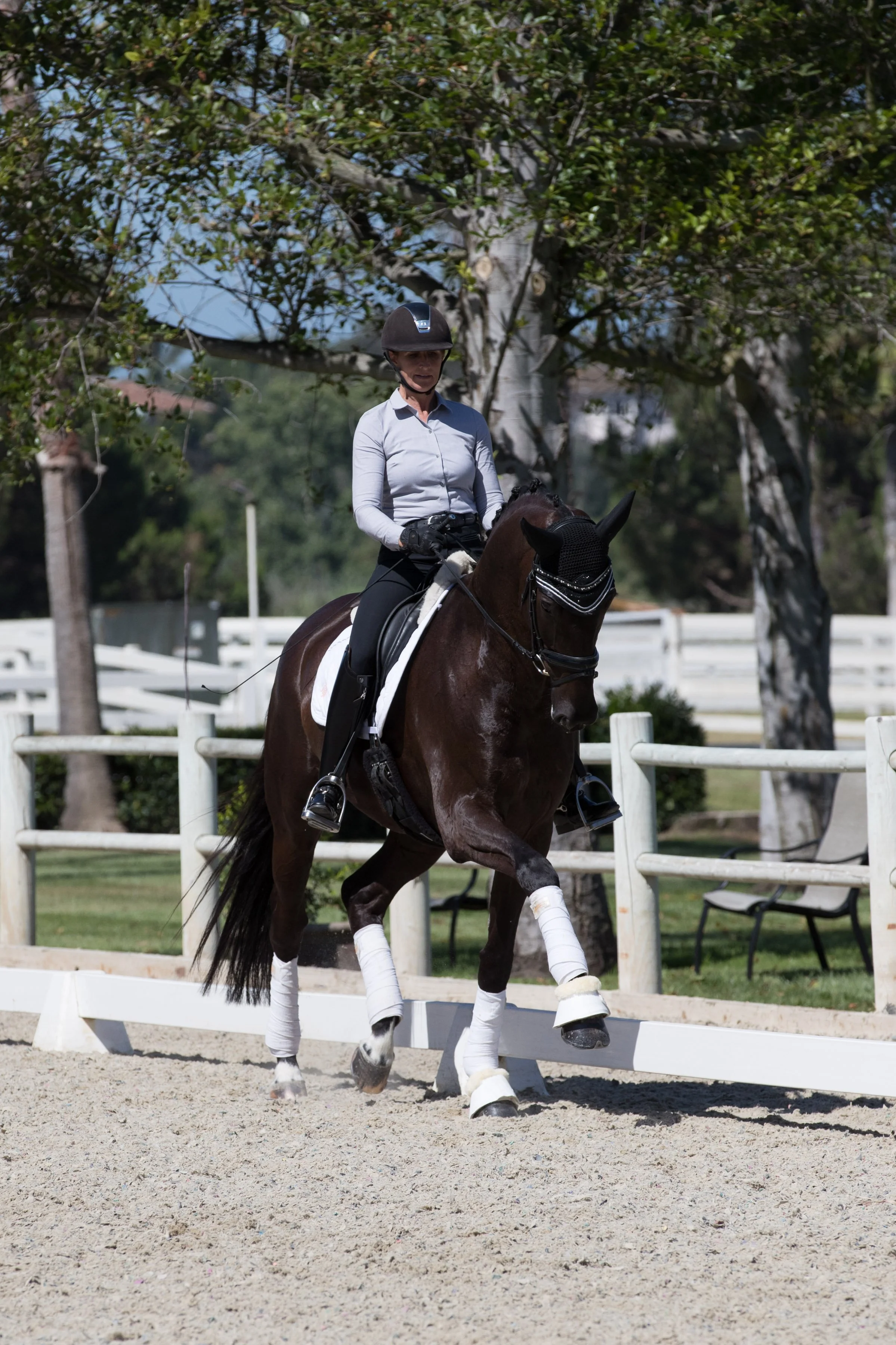 arena footing additive quote