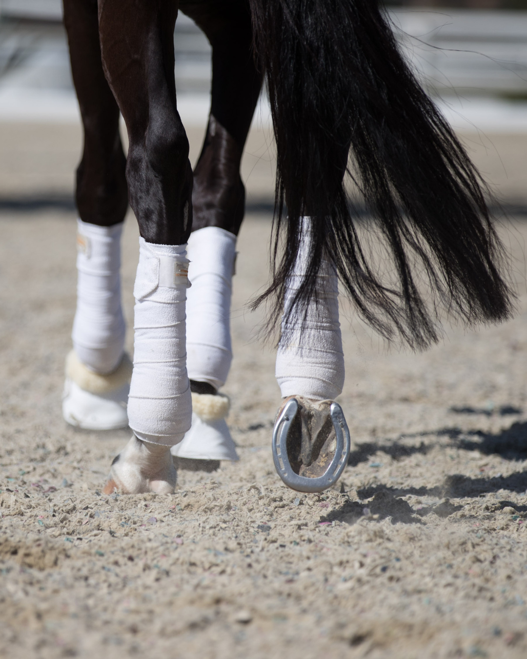 ReitenRight rubber arena footing blended into outdoor riding arena sand and ggt fibre