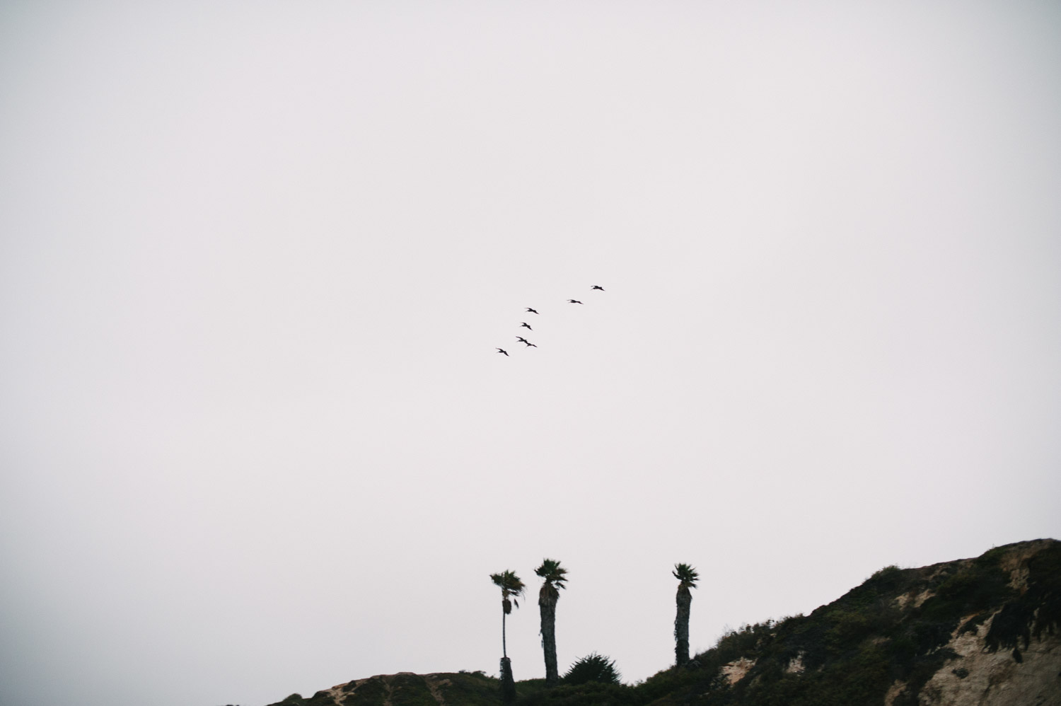 Lauren L. Photography-12.jpg