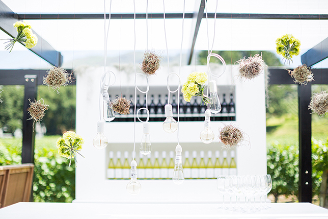 Molentvlient Wedding | Rensche Mari