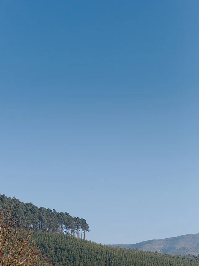 B&C_w001.jpg