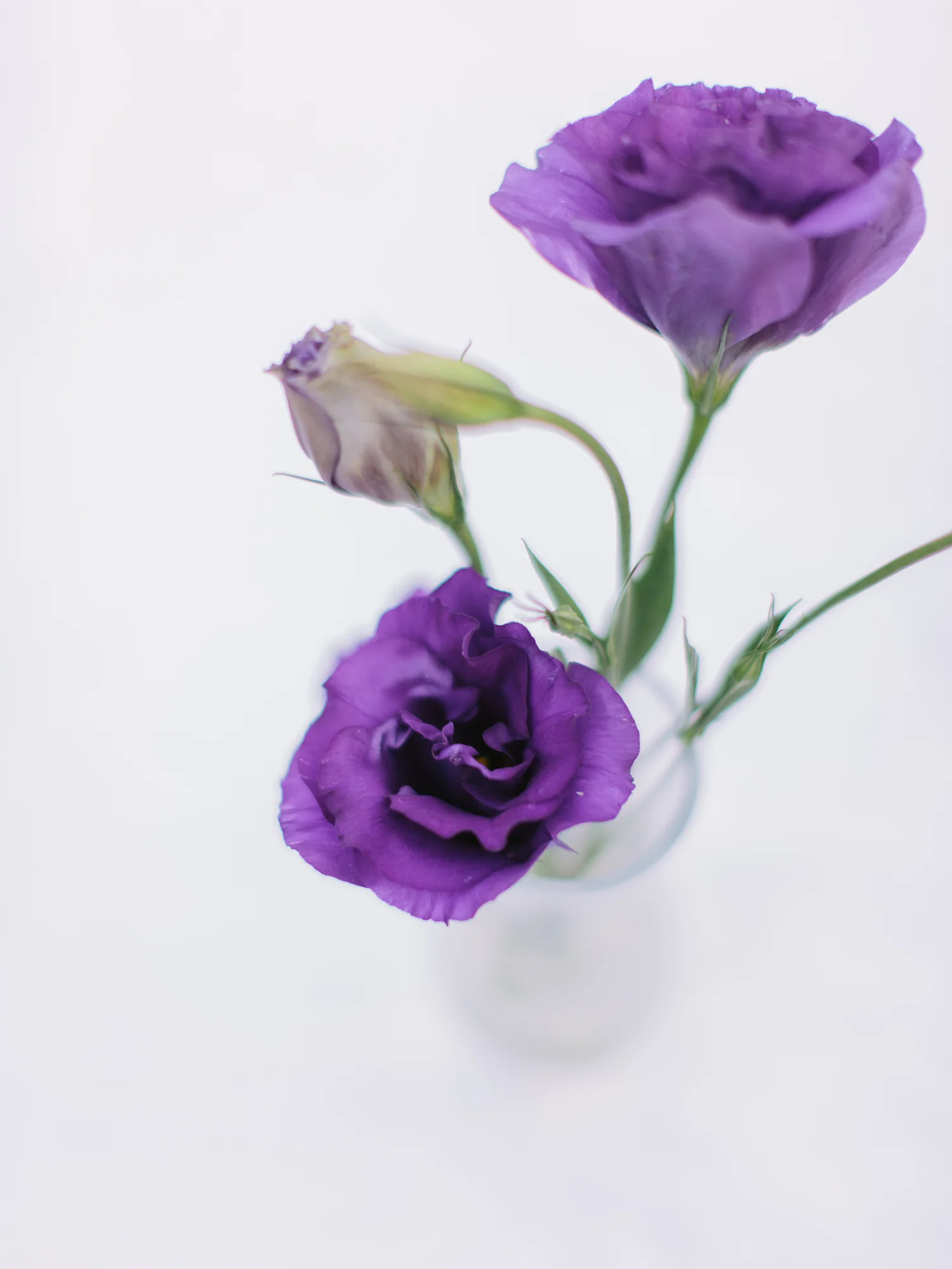 S&J_011.jpg