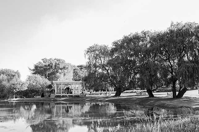 C&B_w49.jpg