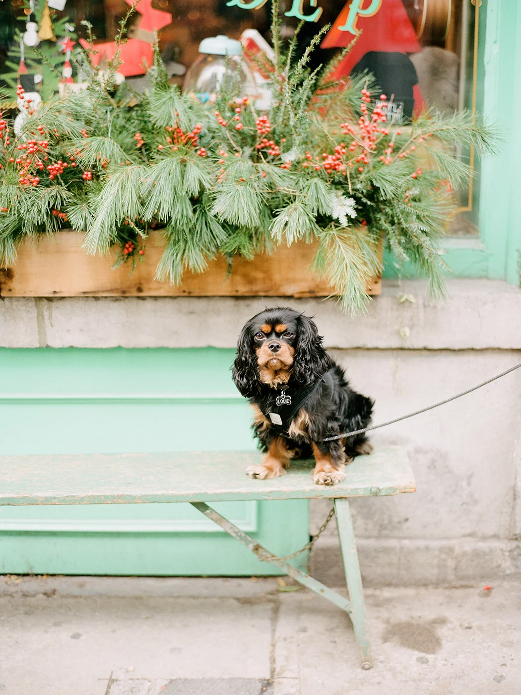 montreal_portraits029.jpg