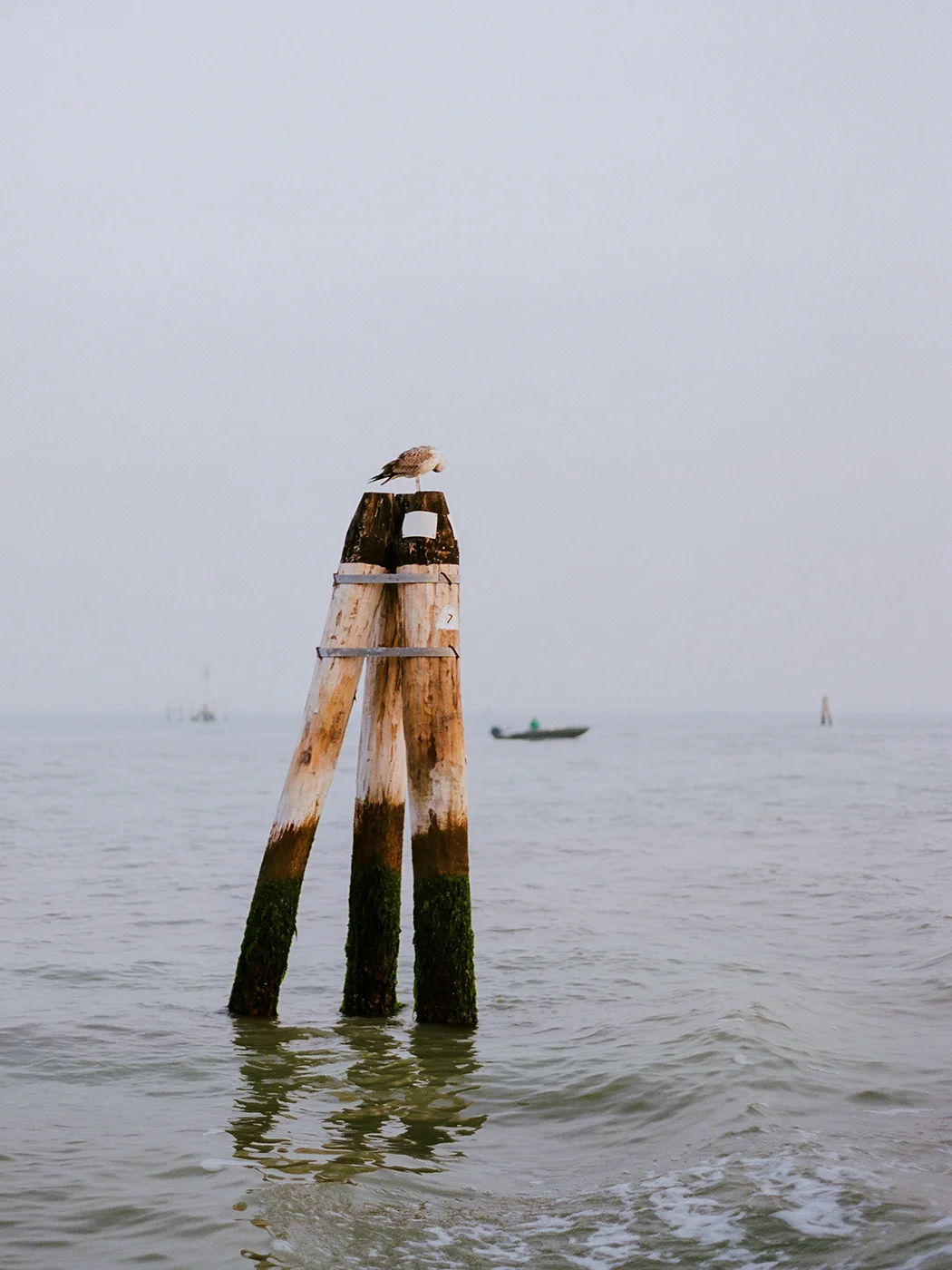 006S&E_Venice.jpg