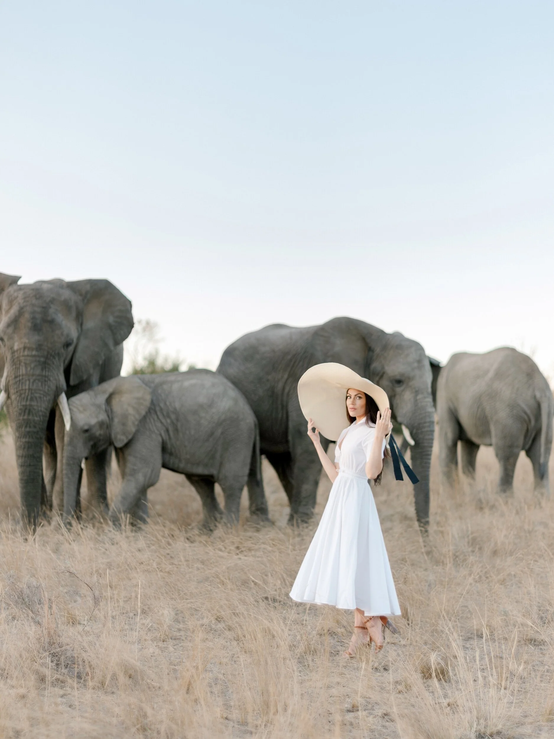 Elephant Conservation through Education