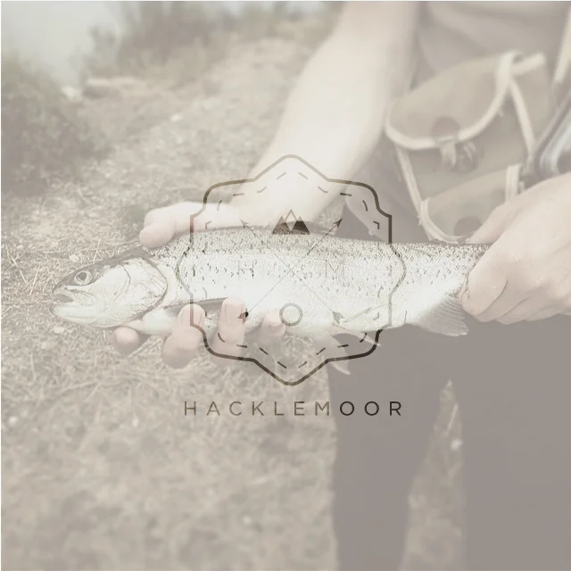 New Season | 40 days