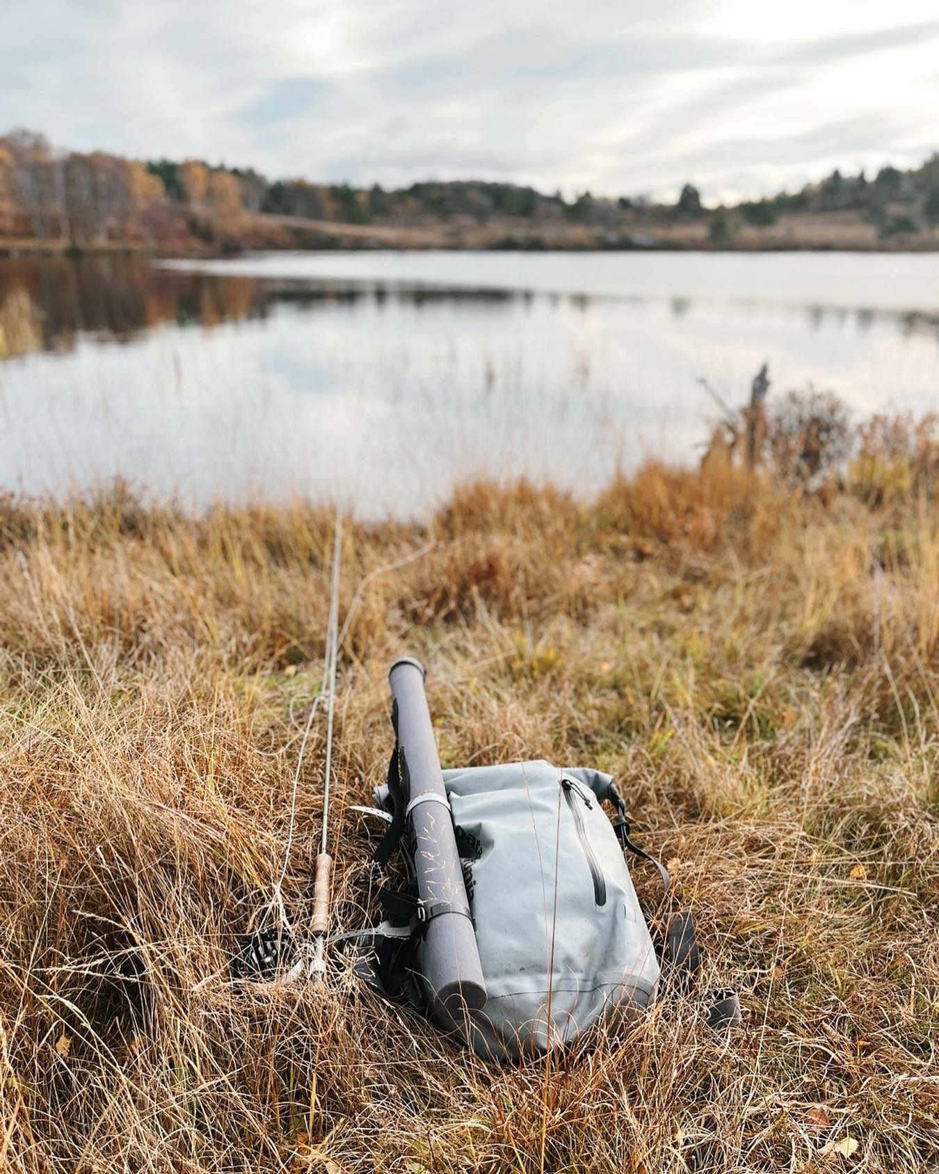 Scouting out some lochs in the highlands 🏴󠁧󠁢󠁳󠁣󠁴󠁿 ⁣
⁣
⁣⁣⁣⁣⁣⁣
#hacklemoor #flyfishing #euronymphing #hatchstack #browntrout #wildbrowntrout