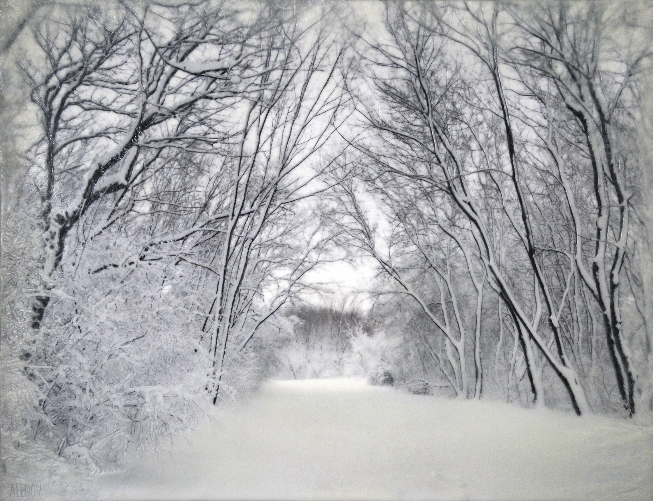 Long Lake Pathway   (20x30)