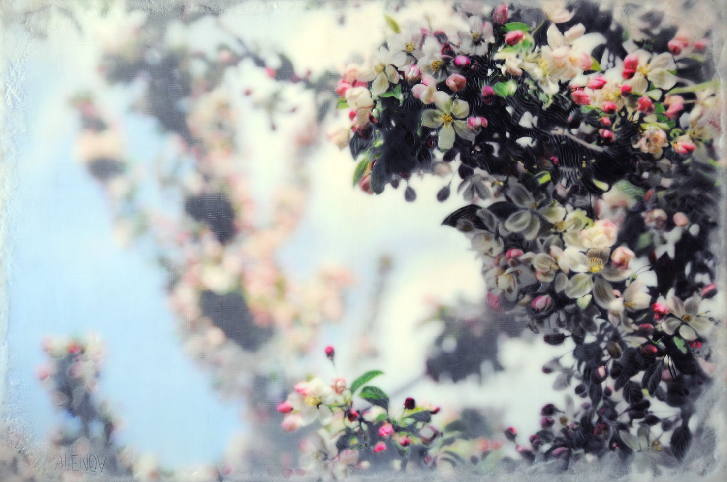 Crabapple Blossoms III   (20x30)