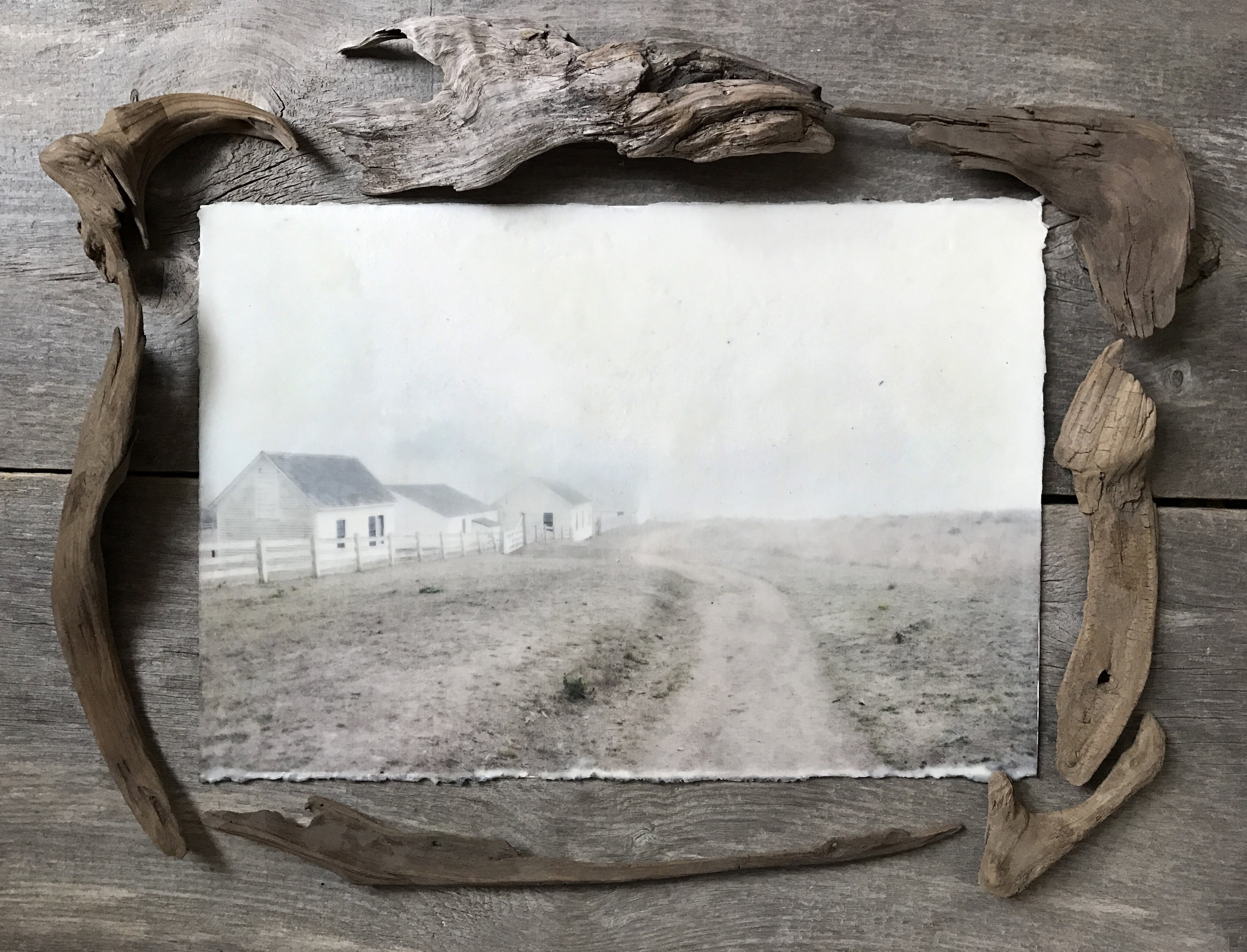 Pierce Point Ranch Pathway   (13x19)