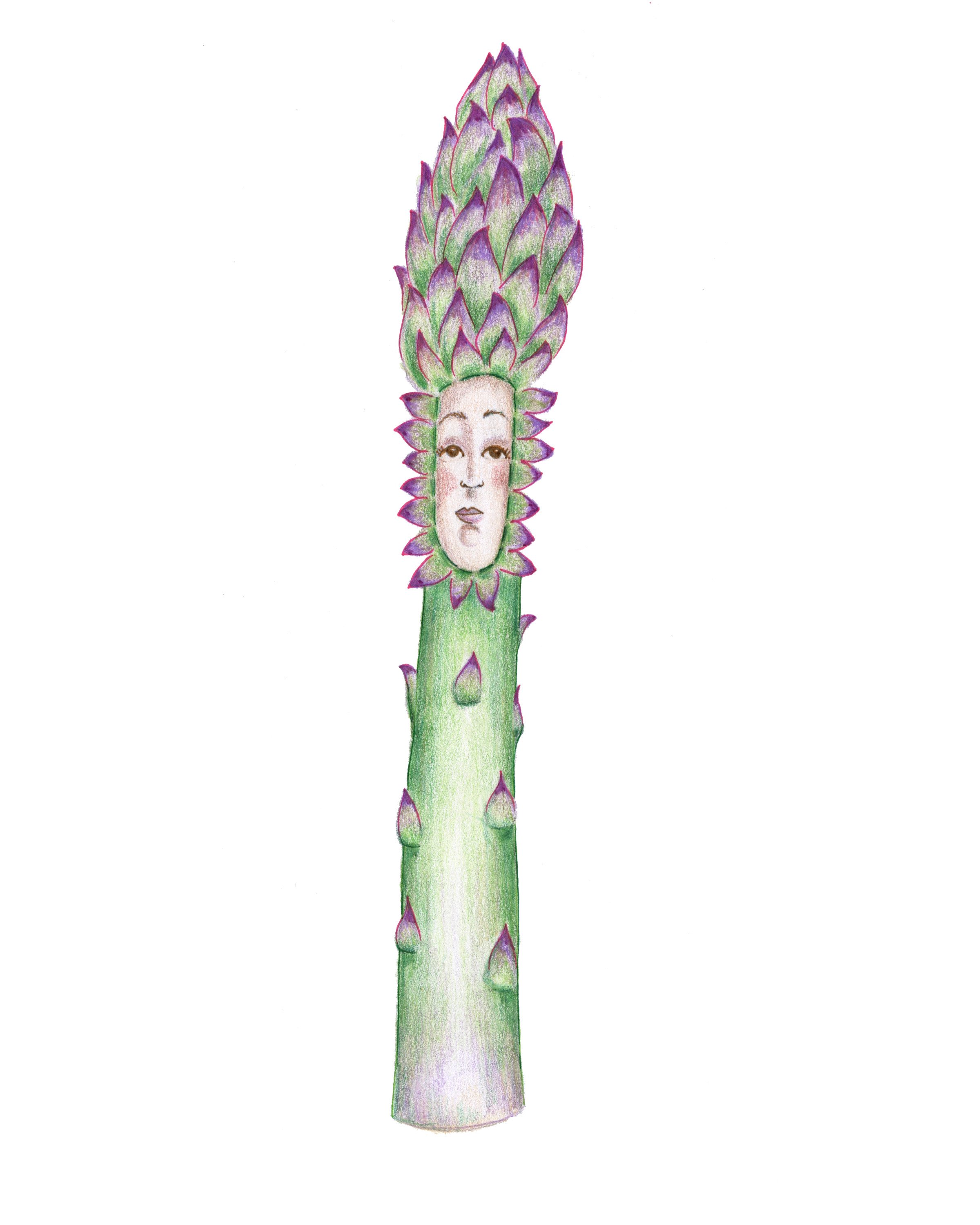 Asparagus890.jpg