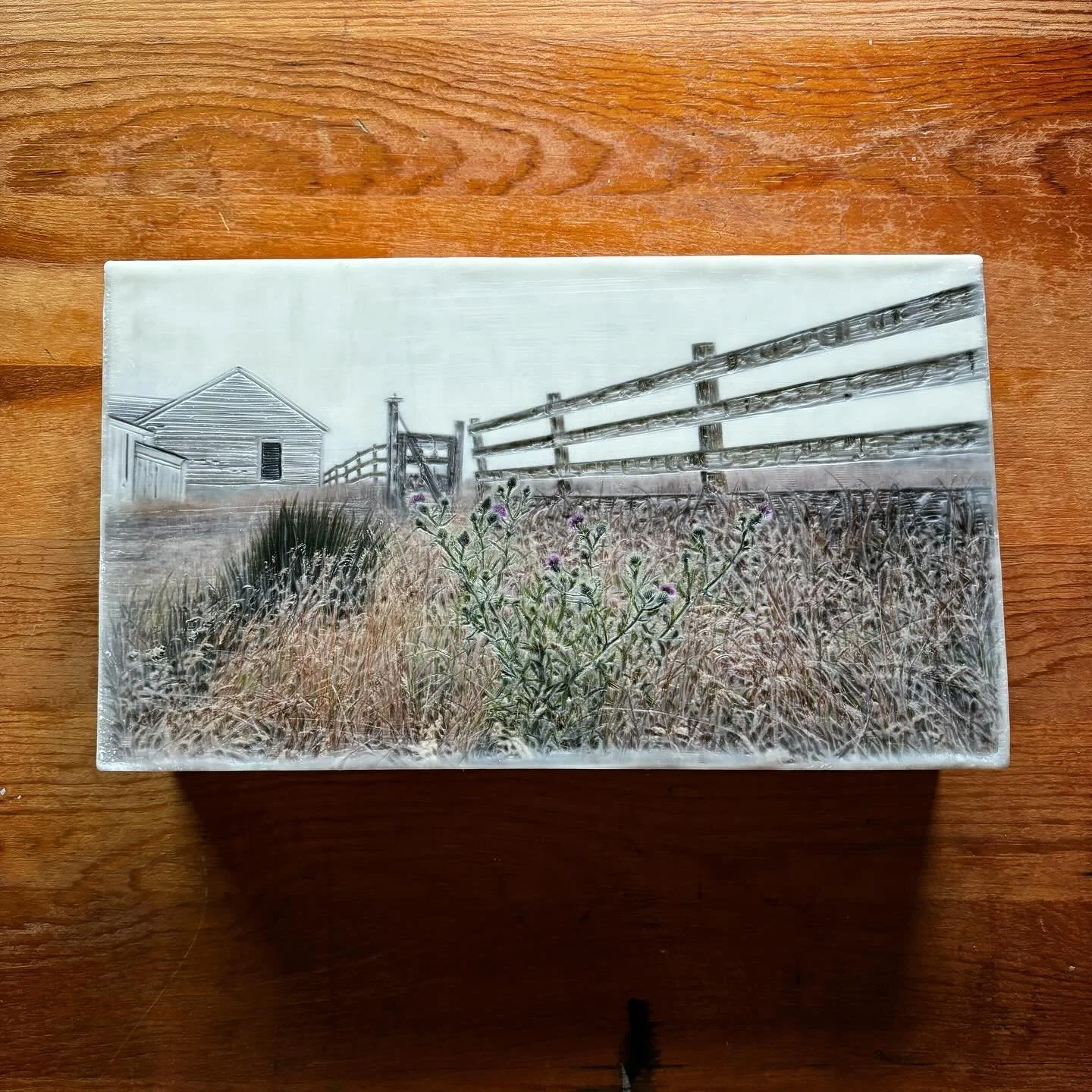 Pierce Point Ranch in Point Reyes. 
#encausticphotography #pointreyes #piercepointranch
