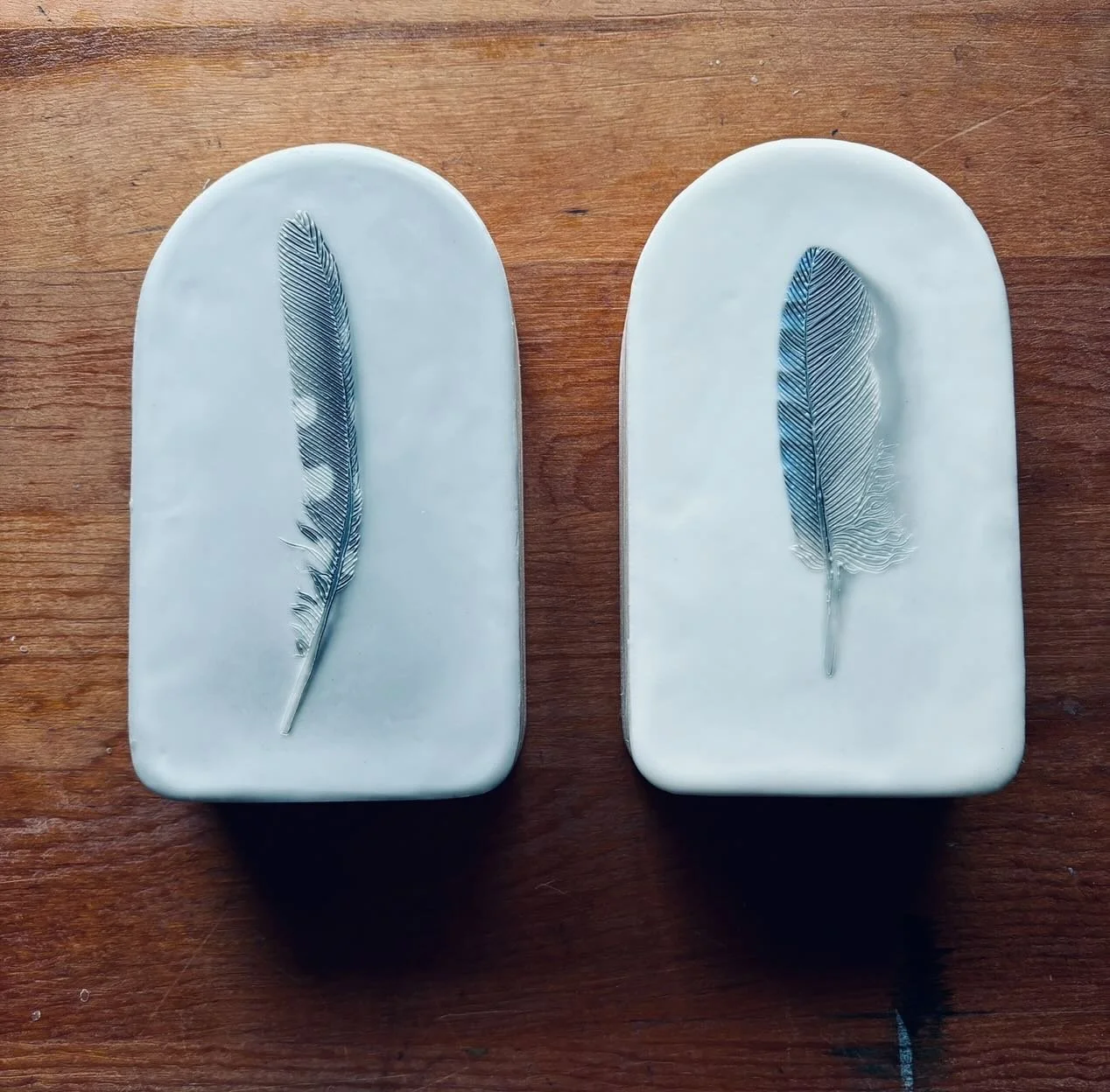 Soft, simple, and perfect for bringing a little nature-inspired vibe to your space. Check them out in the shop if you&rsquo;re into them! 🖤 

#encausticart #featherdecor #shophandmade #encausticphotography