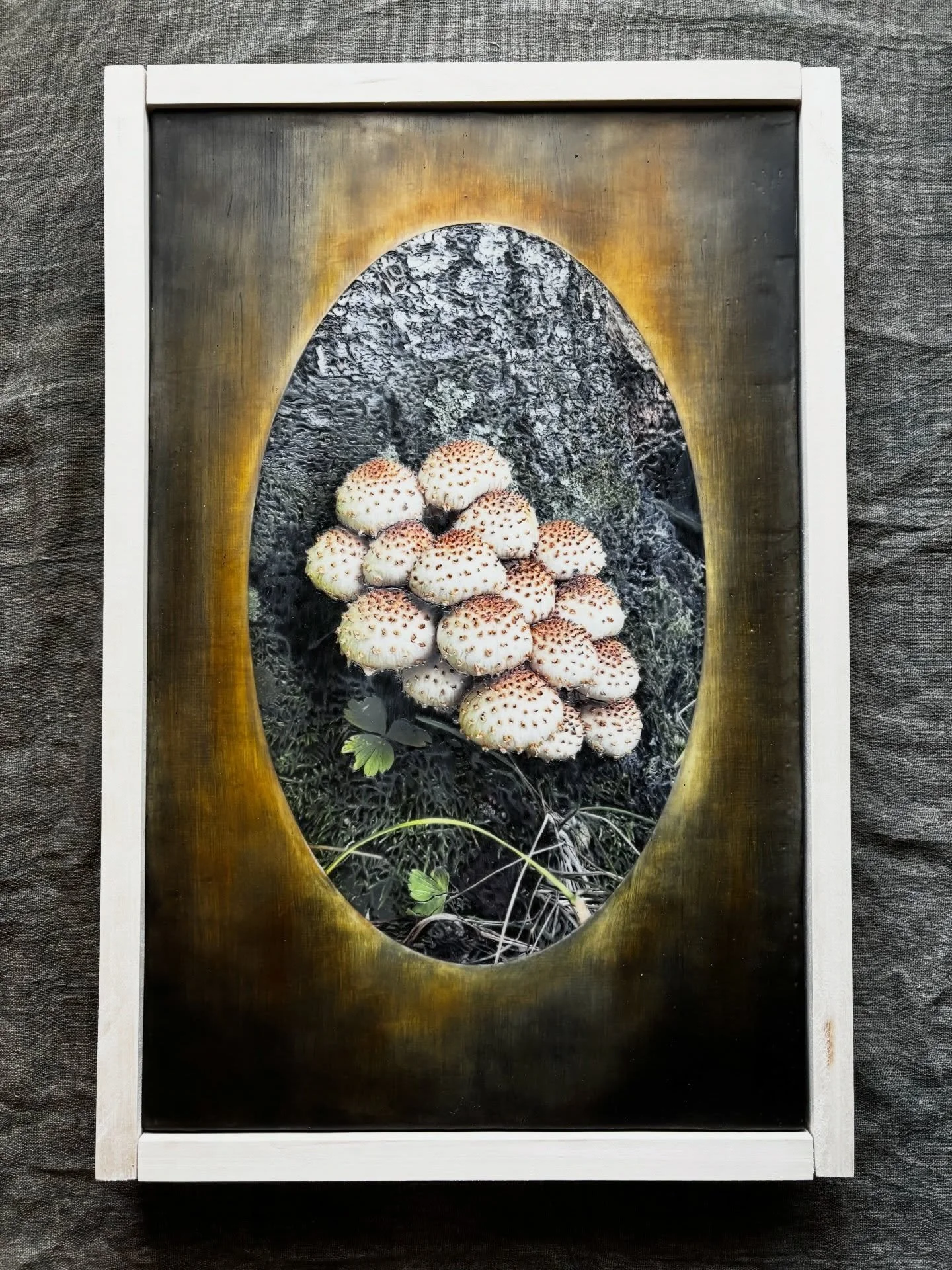 Mushroom Portal. Encaustic photography, oils and pan pastel. 13x20. The frame pictured here is soon to be stained . Still debating whether to go with black or natural. What do you think?
Mushroom Portal will be available at the MCAD Art Sale this Nov