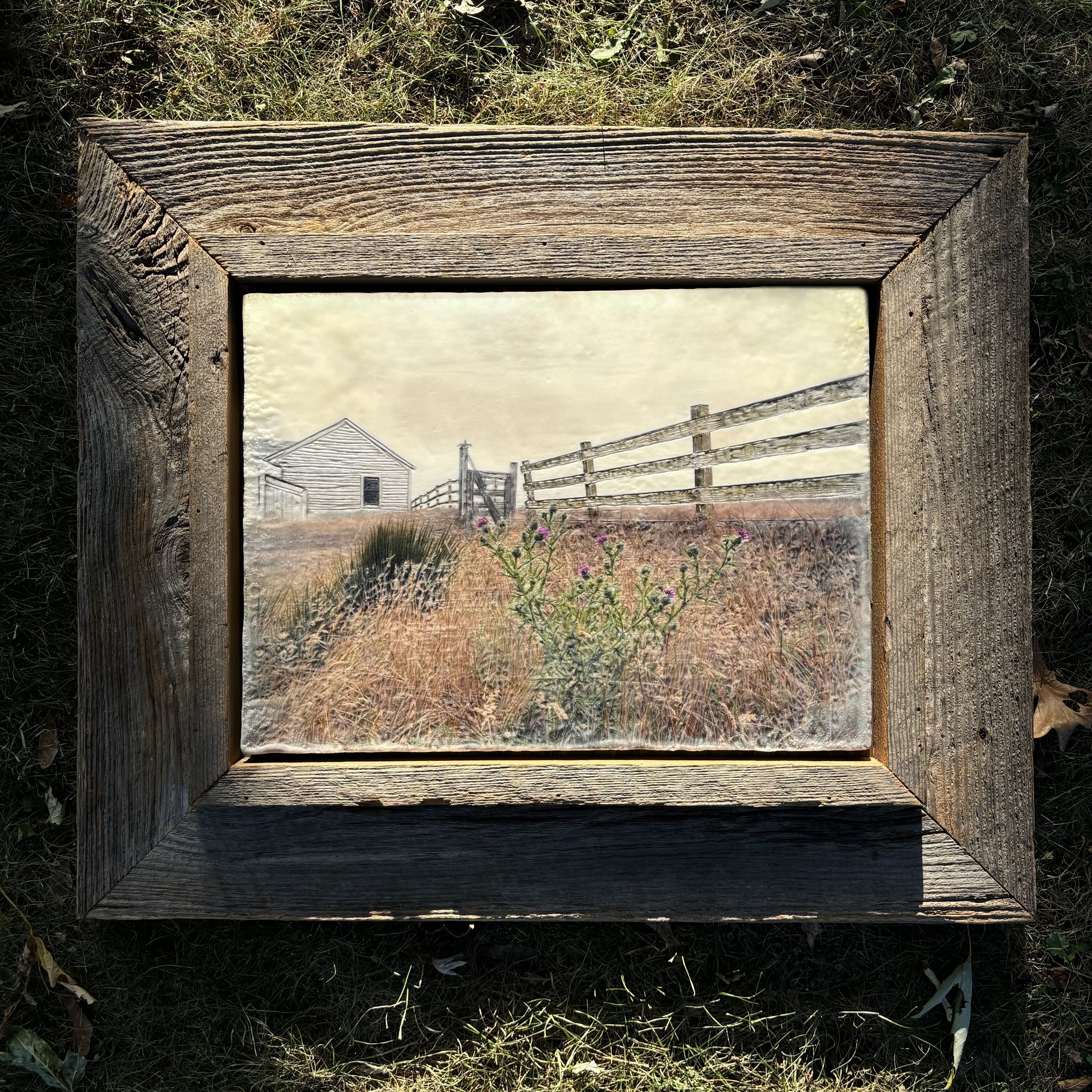 thistle patch frame.jpeg