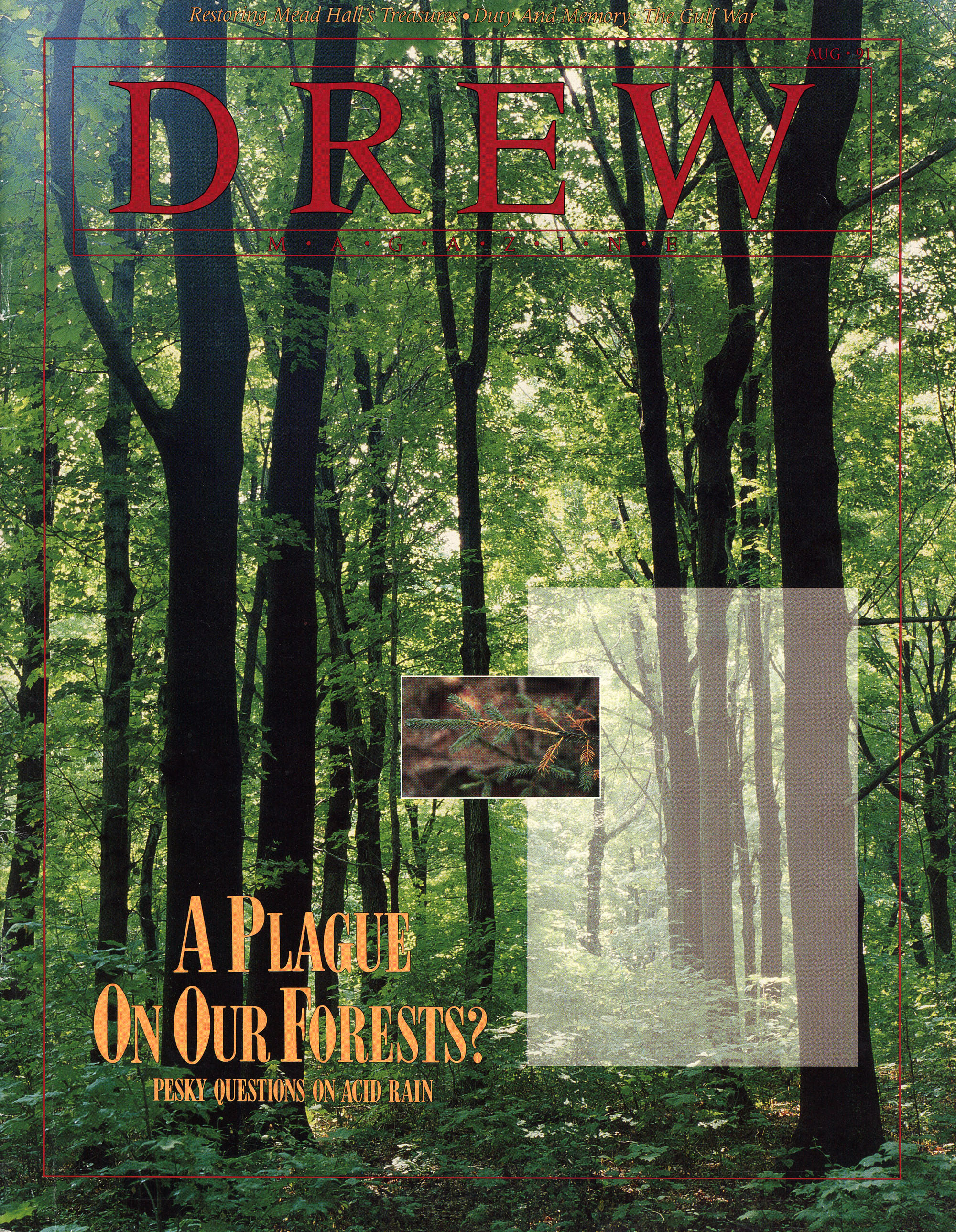 drew cover for web.jpg