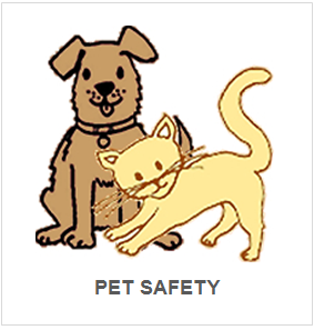 PET SAFETY.png