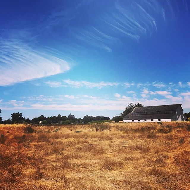 #opensky