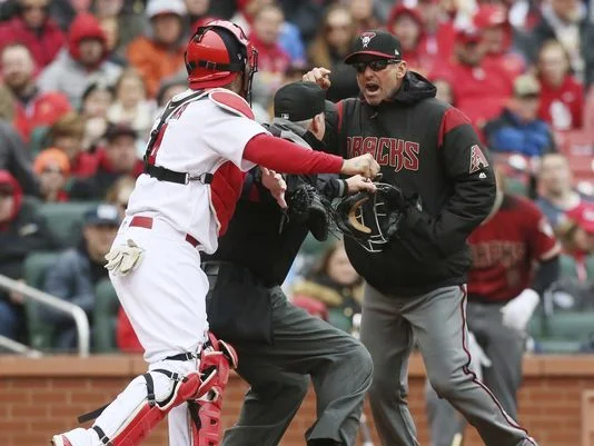 Yadi.jpg