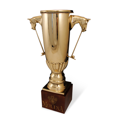 7.25 Gold Cup Judge Trophies with Free Custom Engraving Crown Awards Personalized Judge Trophy 