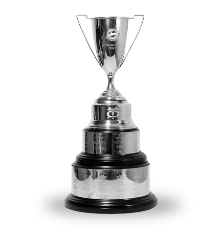 Cup custom perpetual award