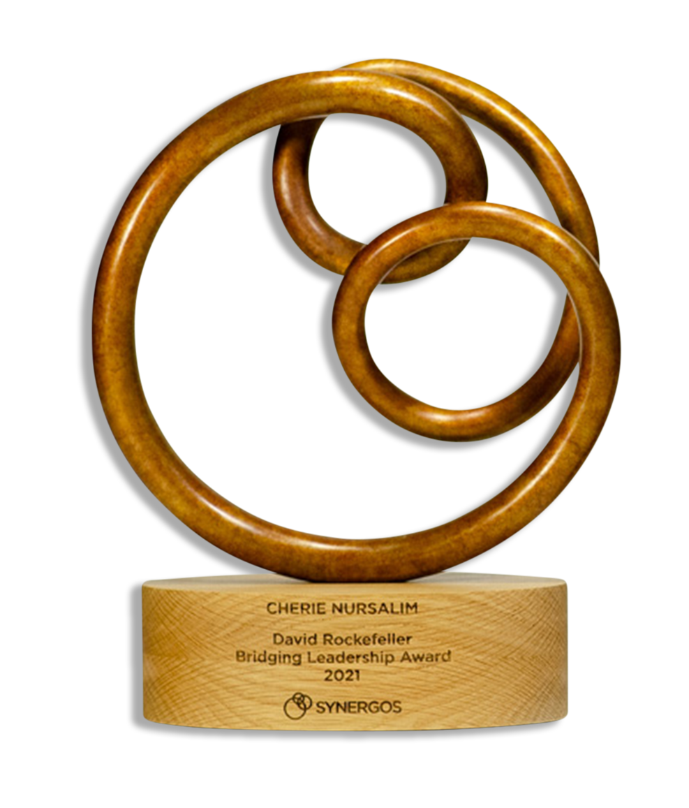 Synergos custom sculpture award