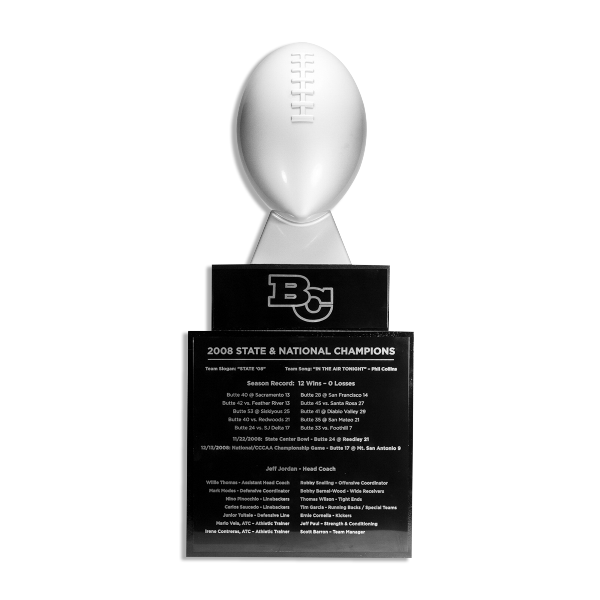 Custom sports award