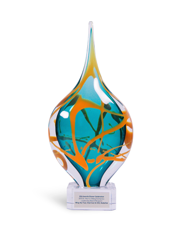 Nonprofit award