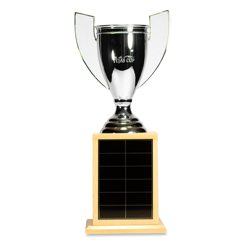 excellenceCUP.png