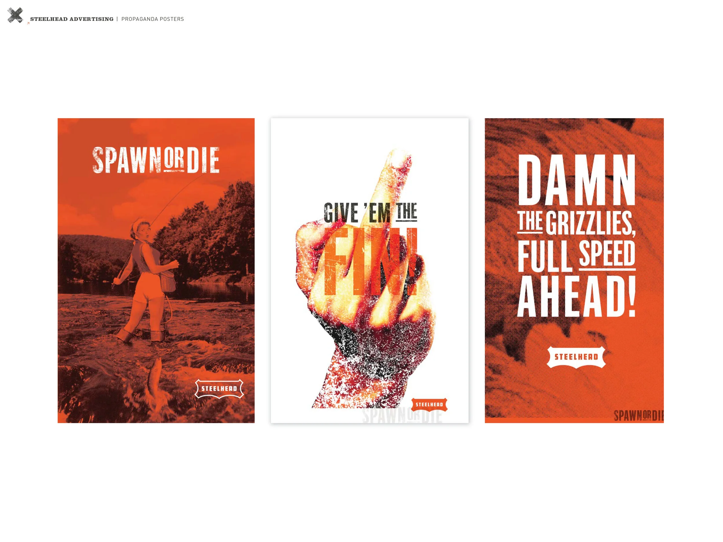 DNT_Portfolio_iPAD_Steelhead_posters-1-02.jpg