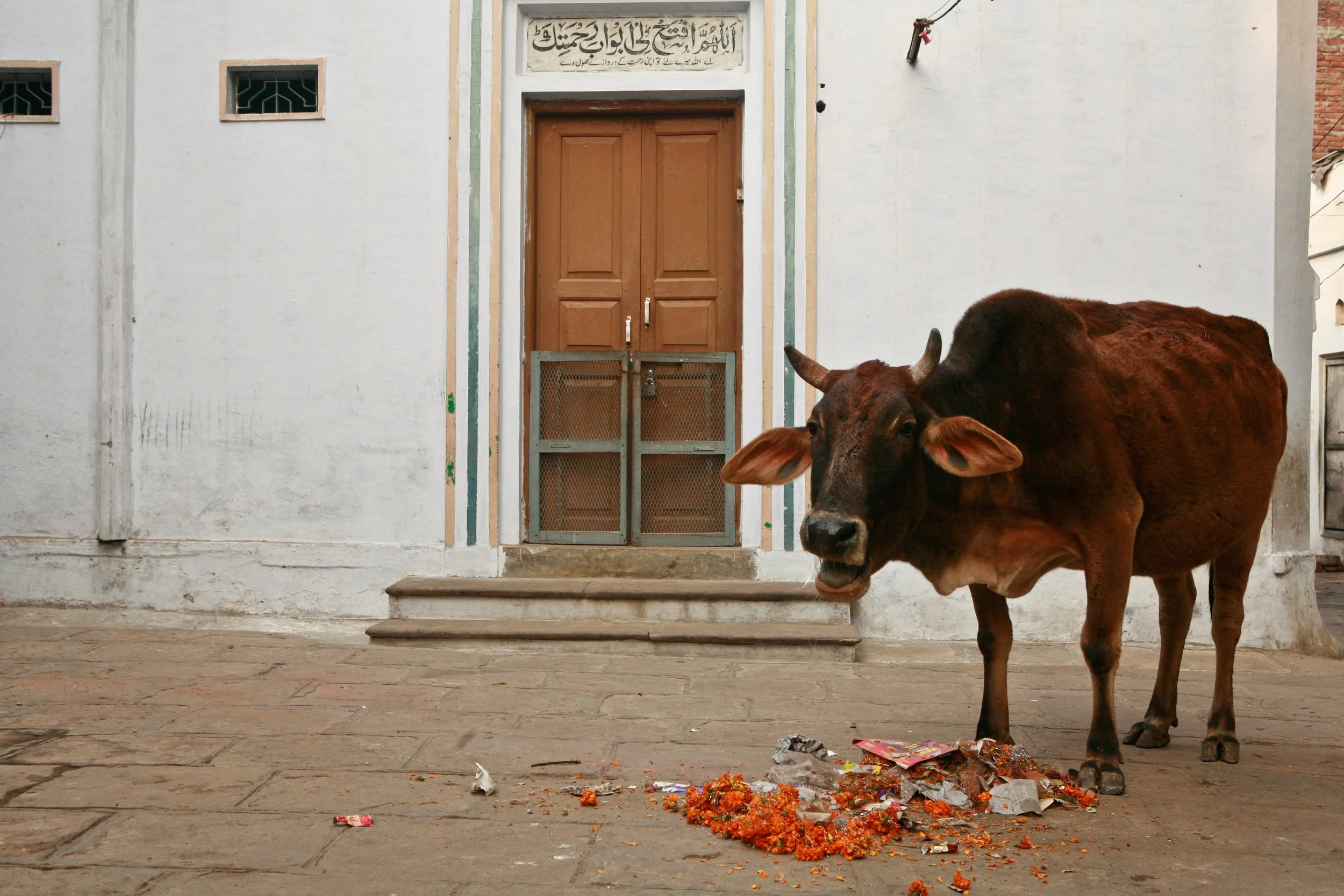 20070124India0180.jpg