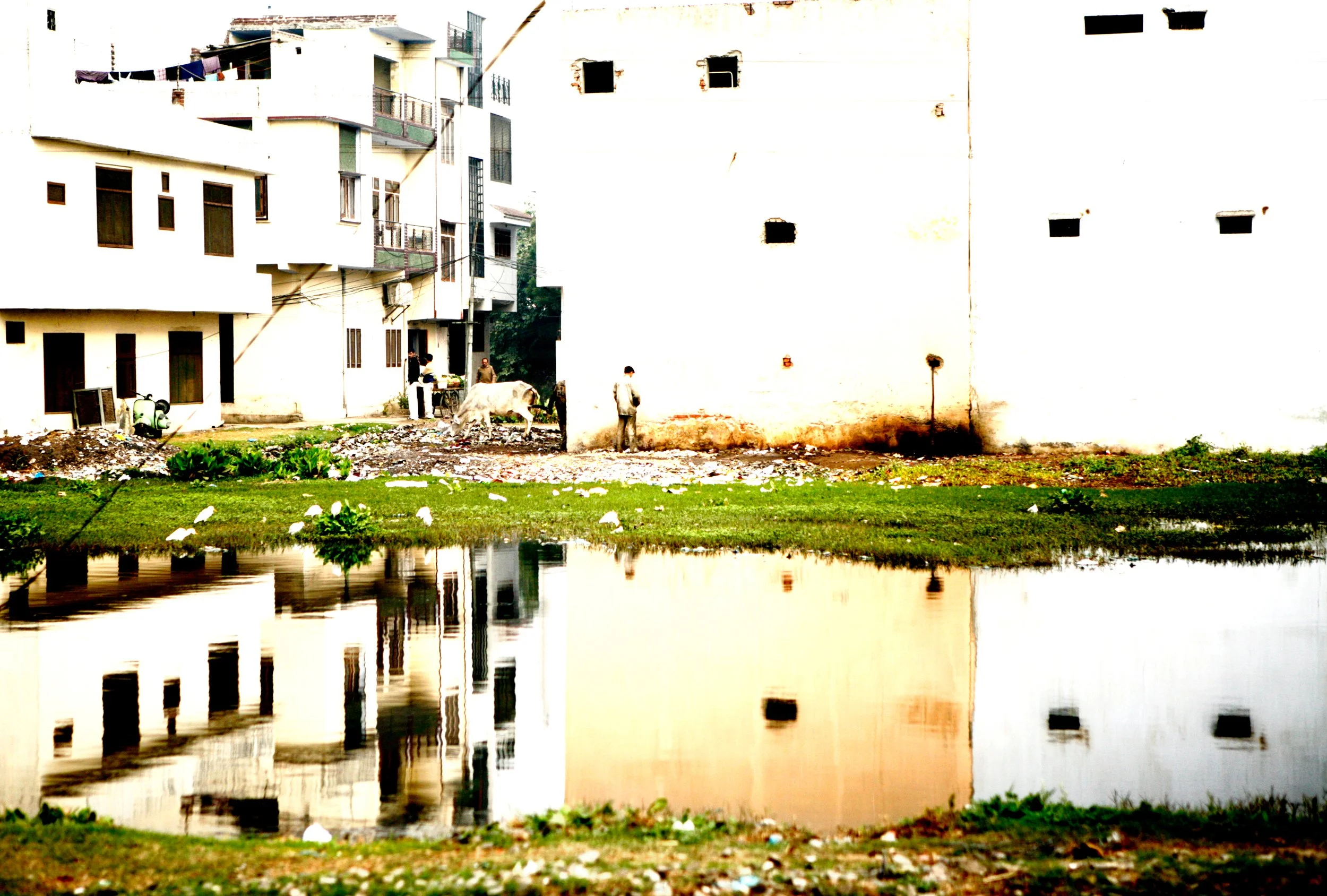 somewhere in between-2.jpg