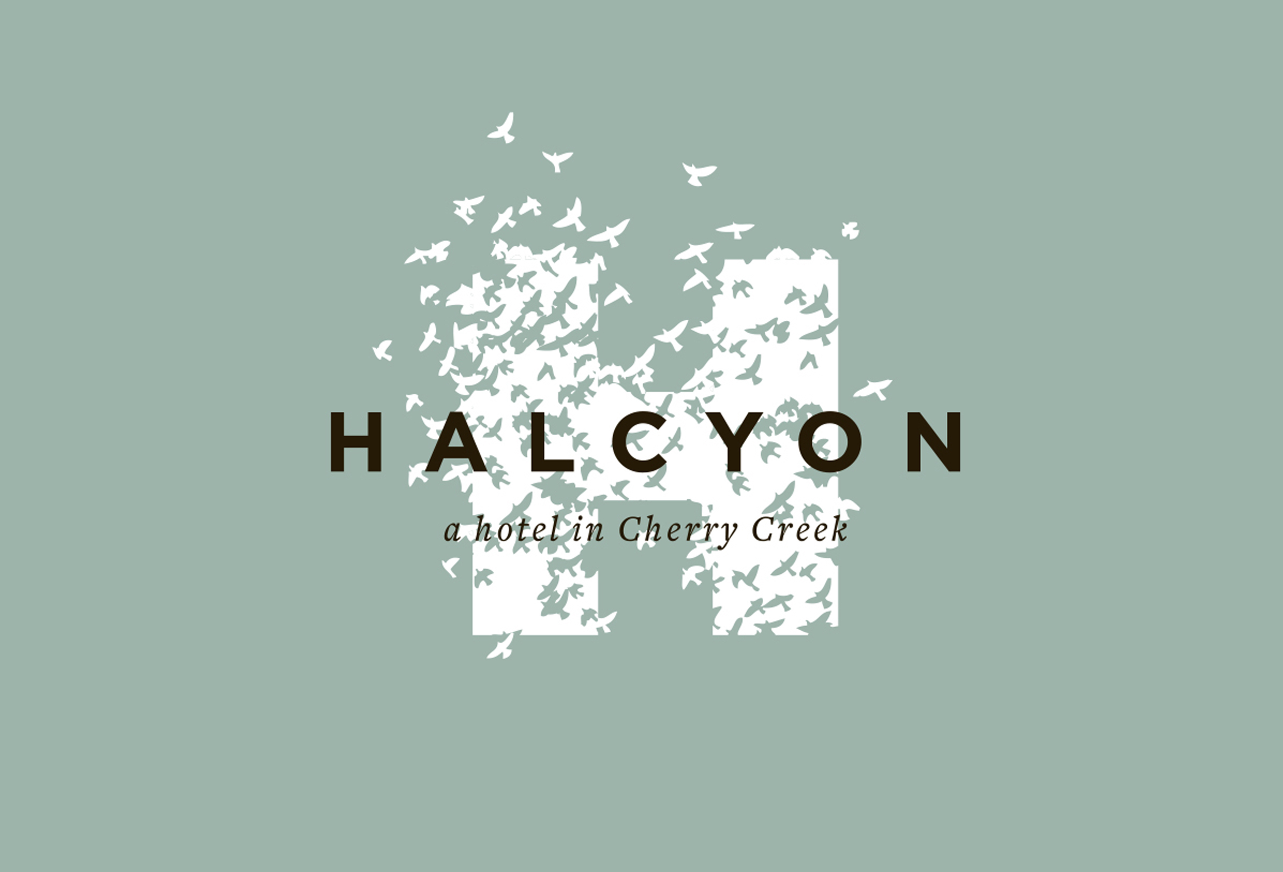 halcyon_1.jpg