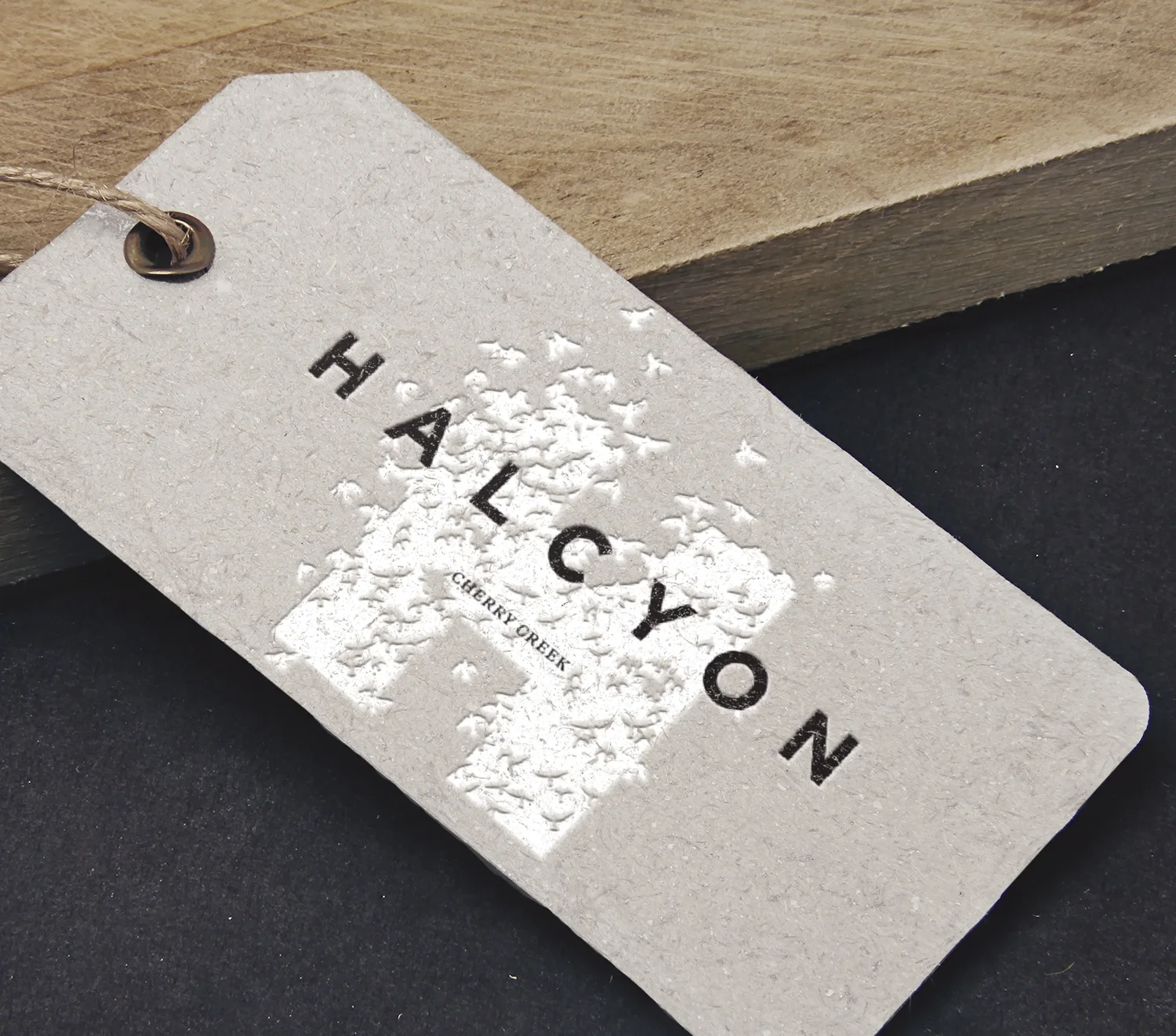 halcyon_title.jpg