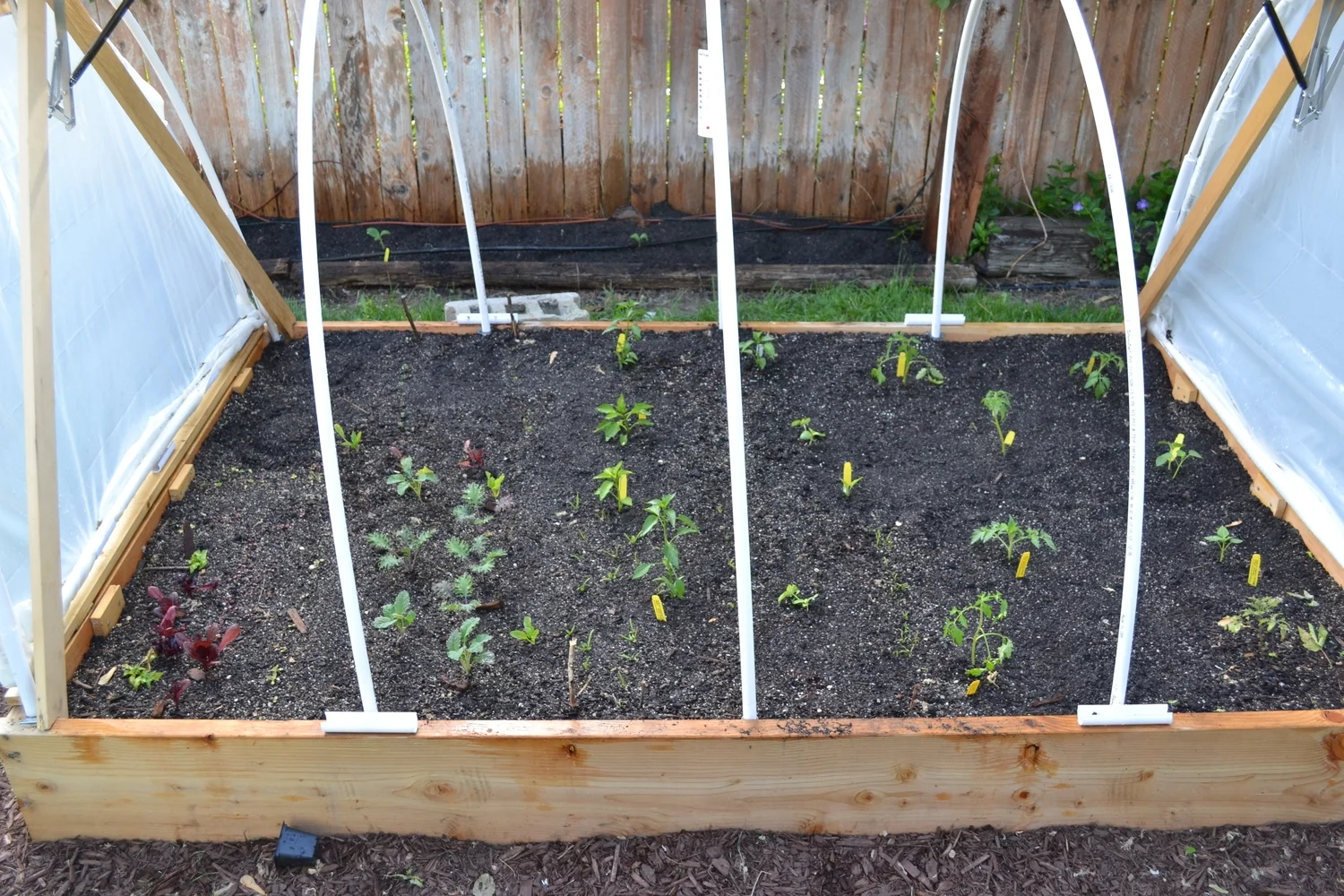 Here are the new babies in their new home. Tomato, tomatillo, various peppers , and eggplant on the right half of the raised bed.