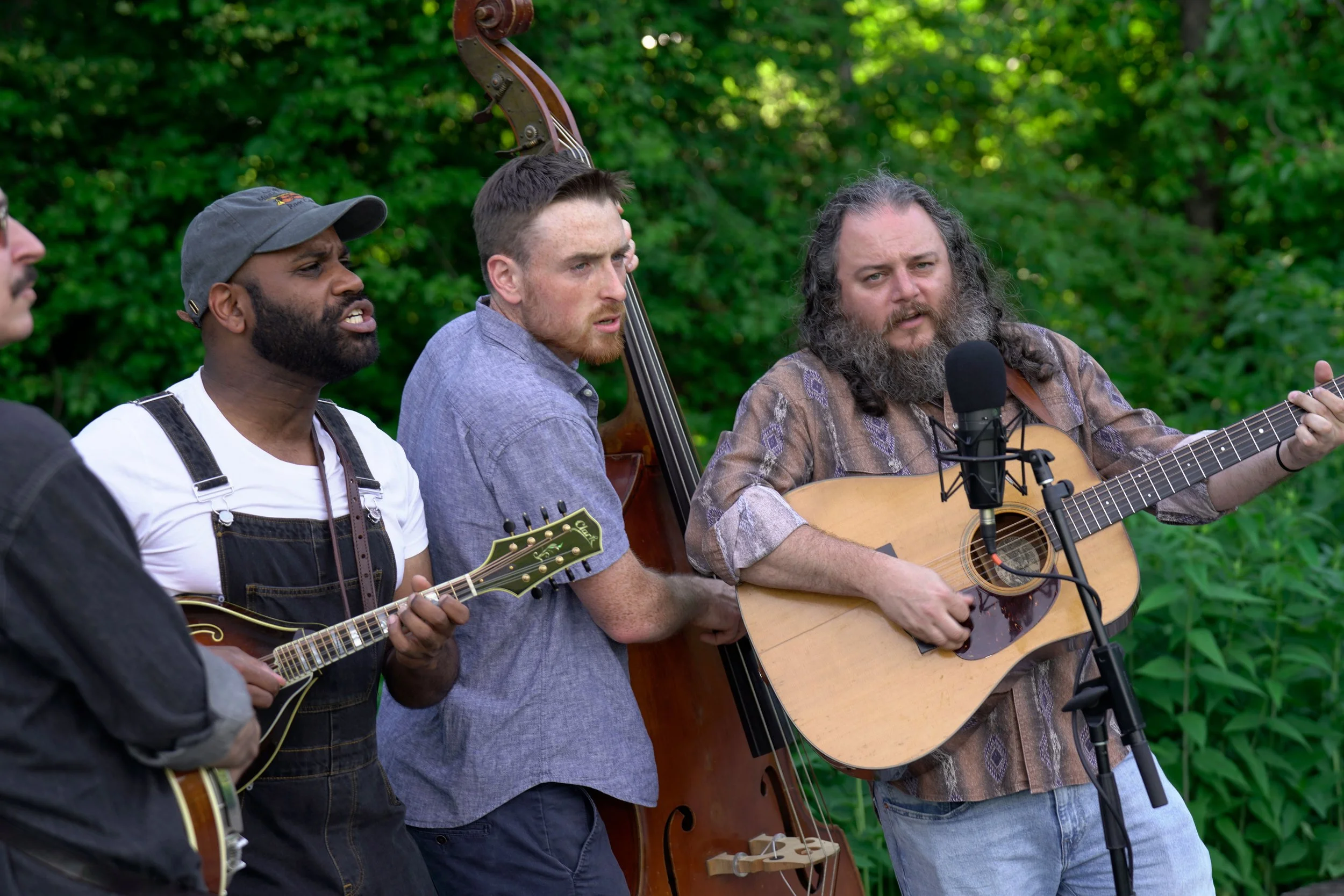 A group of four men singing and playing musical instruments outdoors, with a background of green foliage. Two men are playing guitars, one is singing, and one is playing an upright bass.