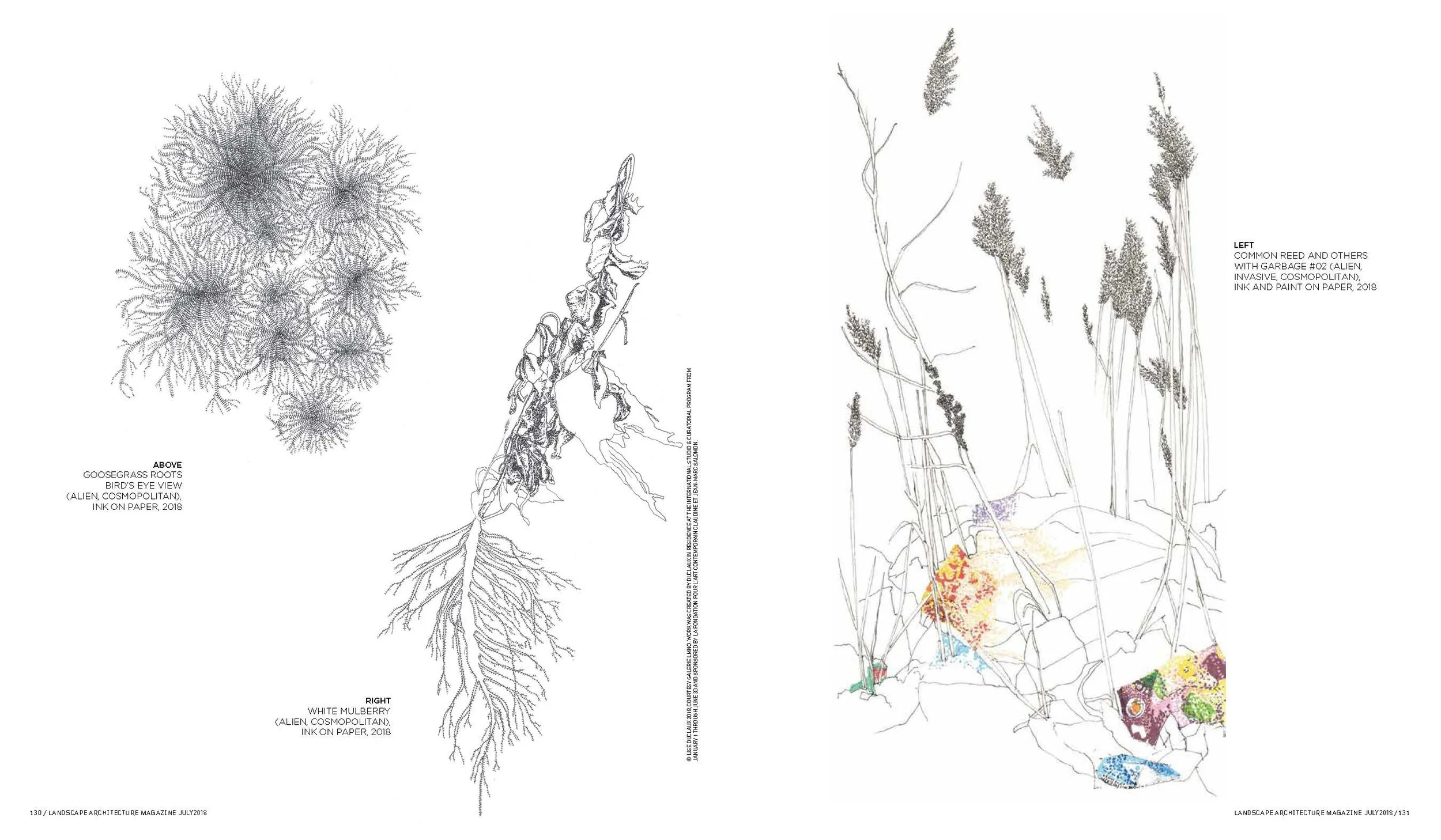 Freedom of Weeds
