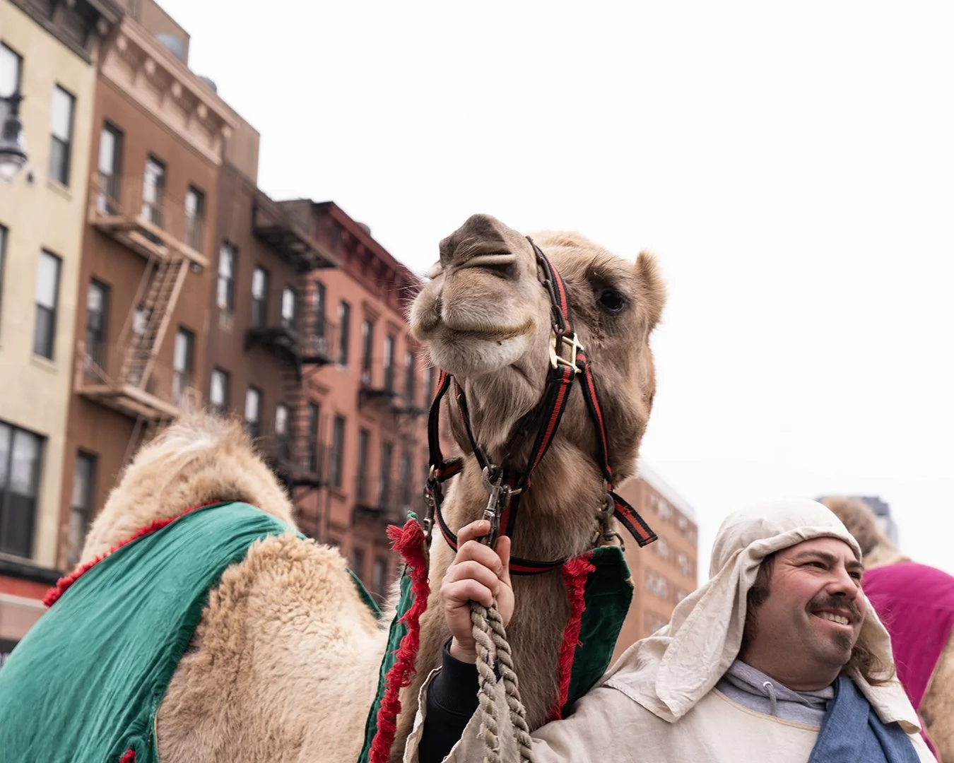 A man dressed as a shepherd standing next to a smiling camel dressed in a green blanket with red trim during a parade or festival in an urban setting with brick apartment buildings in the background.