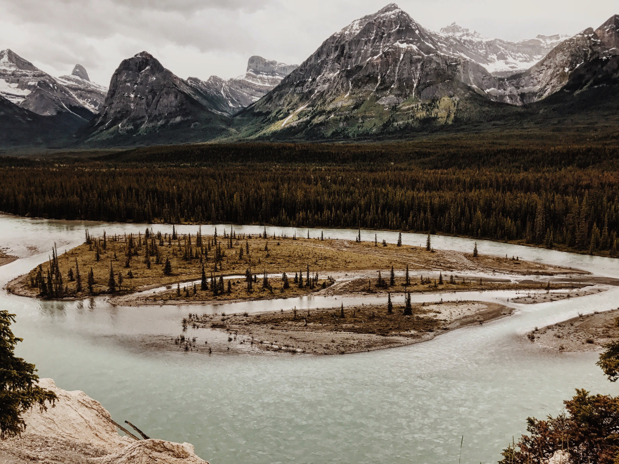Pitstops along the Icefields Parkway. So dreamy. 
