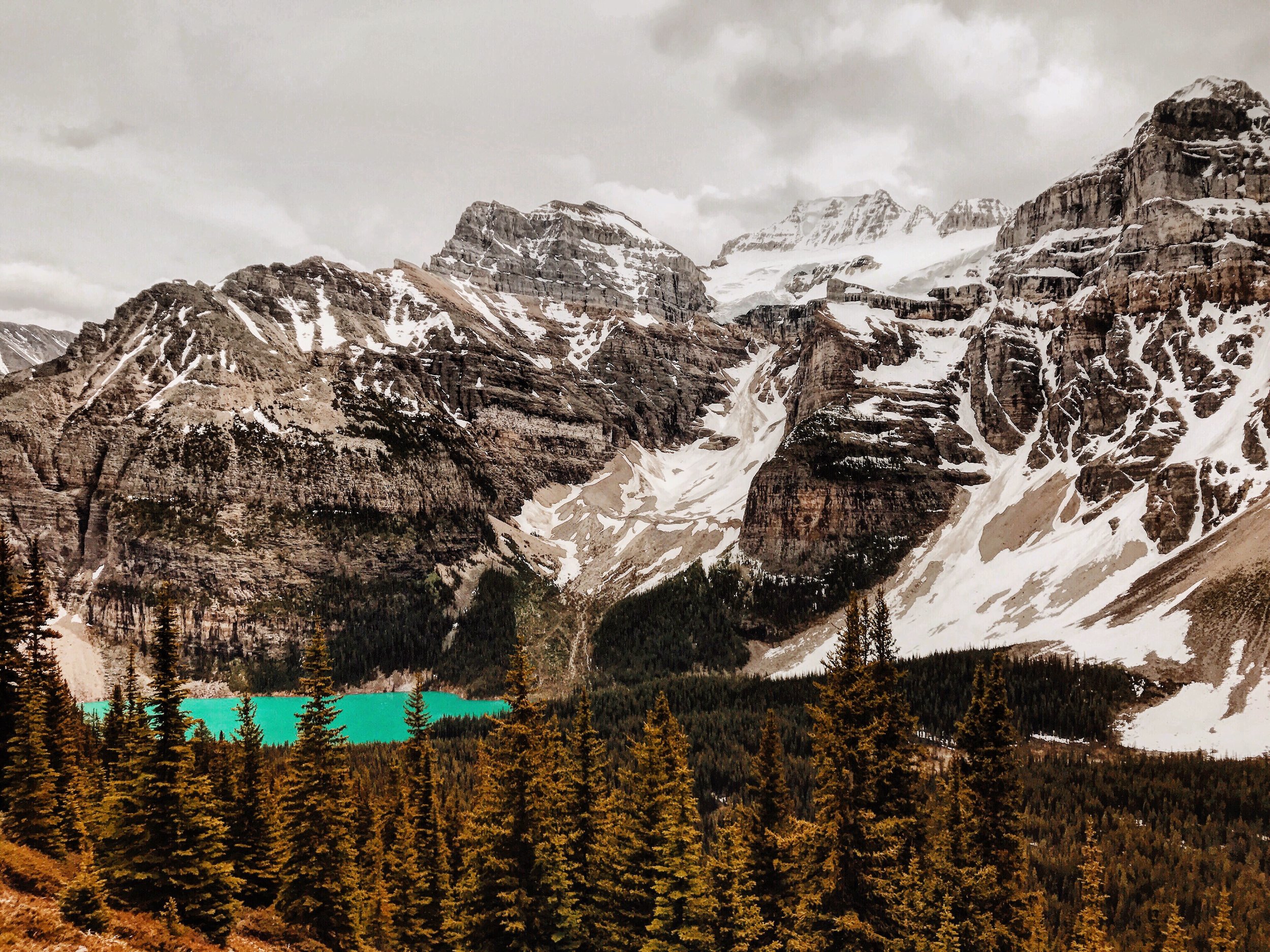 For our next 10 mile hike we chose the next day to embark on that. The Plane of the Six Glaciers hike that I previously mentioned started at Lake Louise and took us far higher than this photo, but wowie that view!